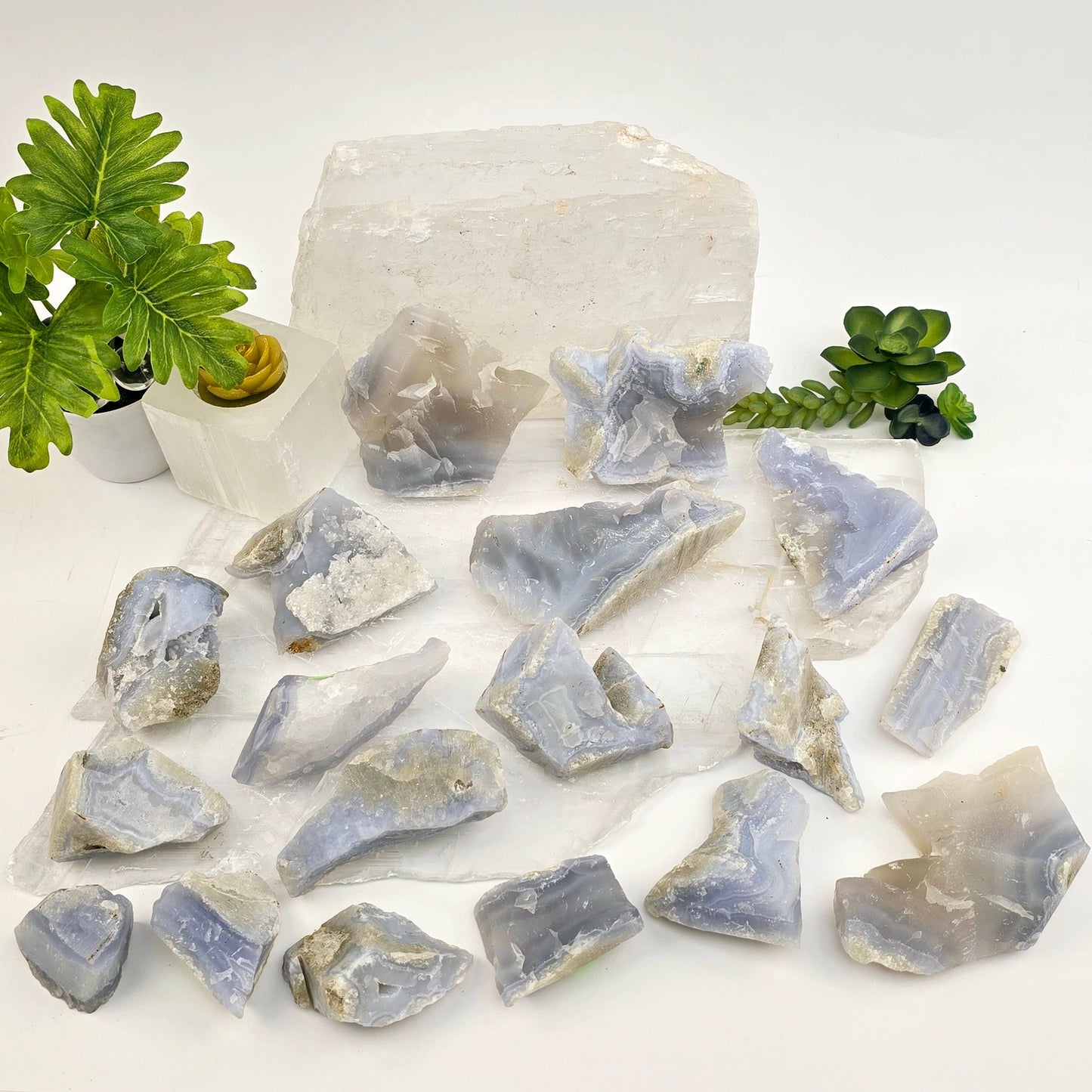 Blue Lace Agate Rough Crystal from Namibia - Rare Find - You Choose #1 top view all variants with plants and props