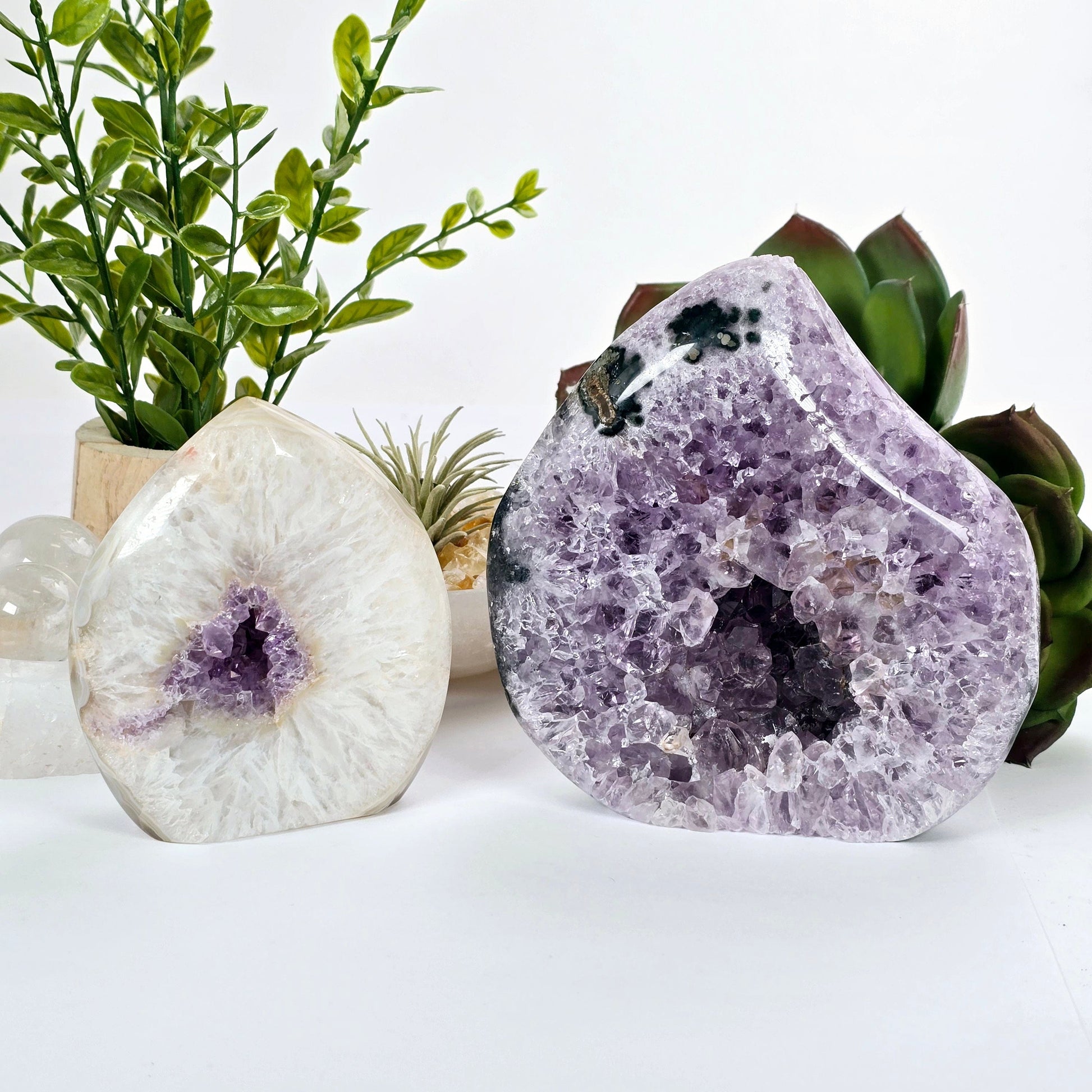 Amethyst Teardrop Crystal Cut Base - You Choose #1 both variants with plants and props in the background front view