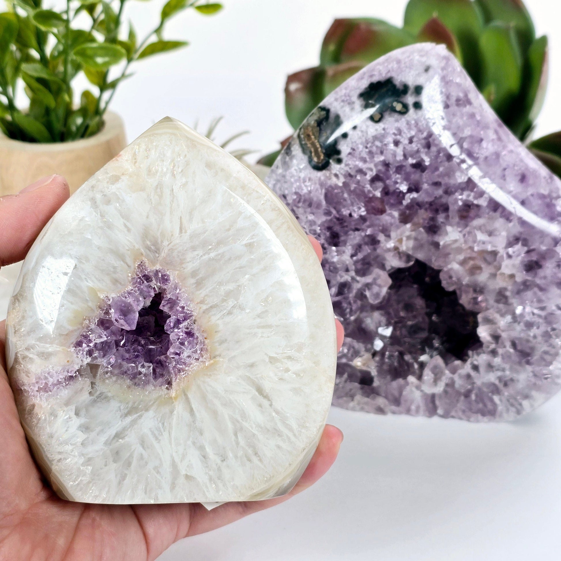 Amethyst Teardrop Crystal Cut Base - You Choose #1 variant 1 in hand for size reference with other variant in background with plants