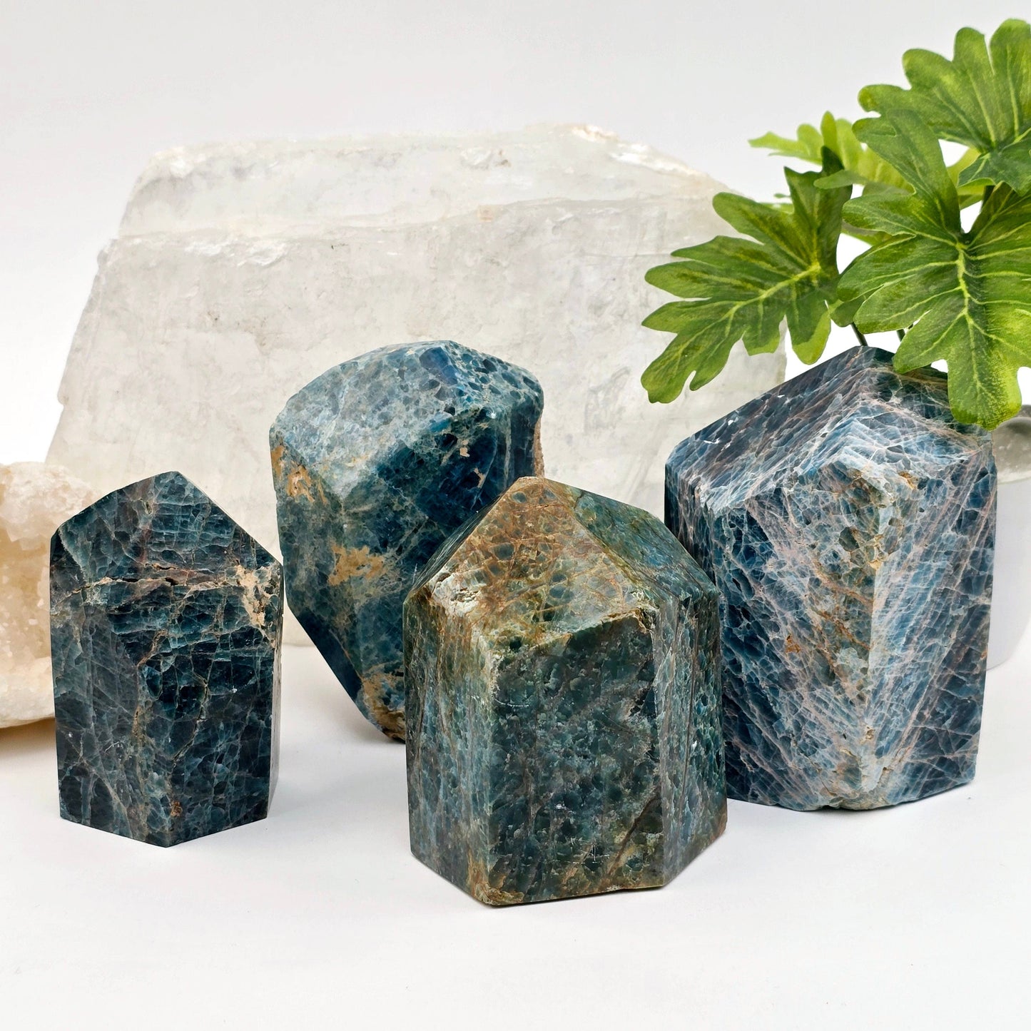 Apatite Polished Point Crystal Cut Base - You Choose all variants with props and plants