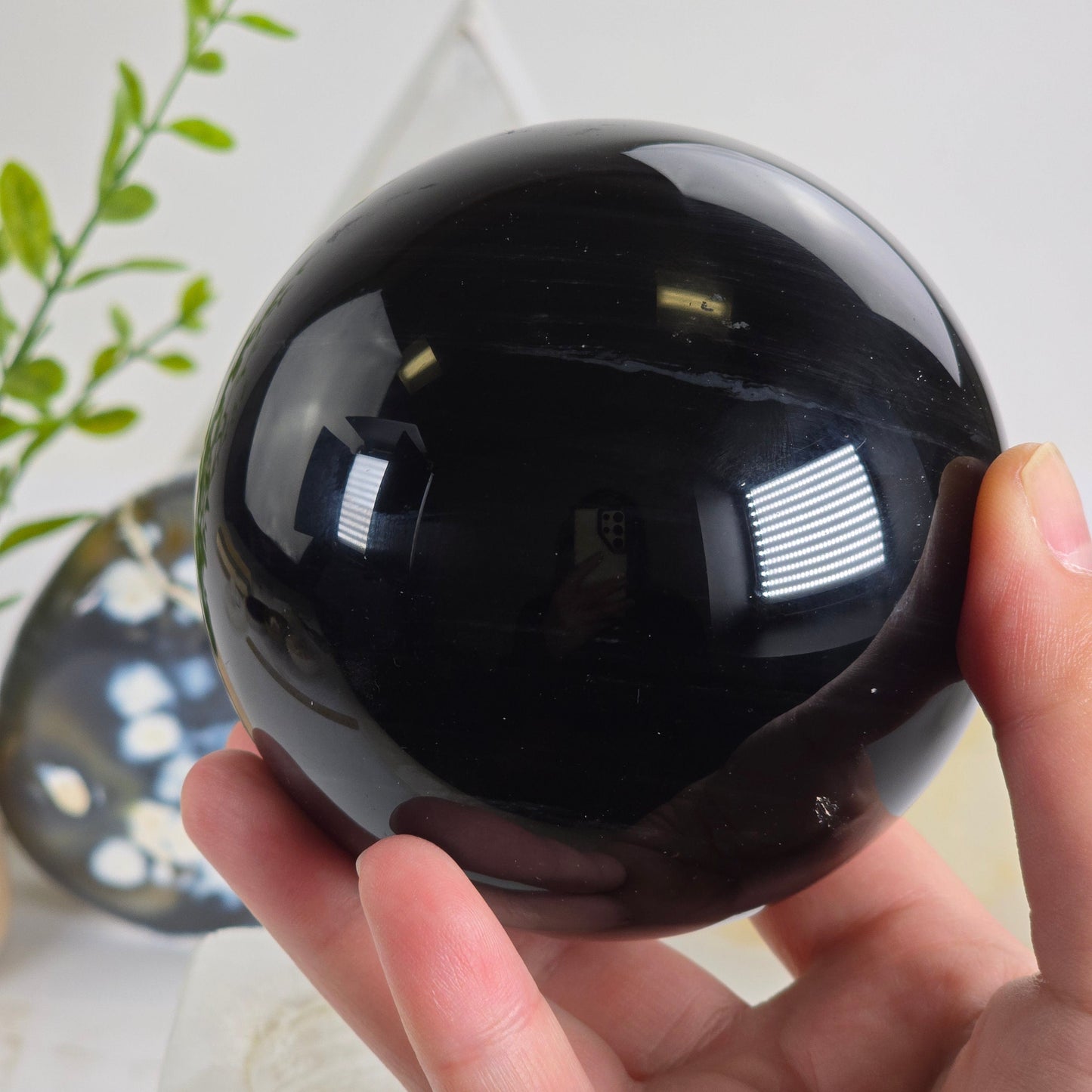 Black Agate Crystal Sphere - One-of-a-Kind in hand for size reference with props and plants in the background