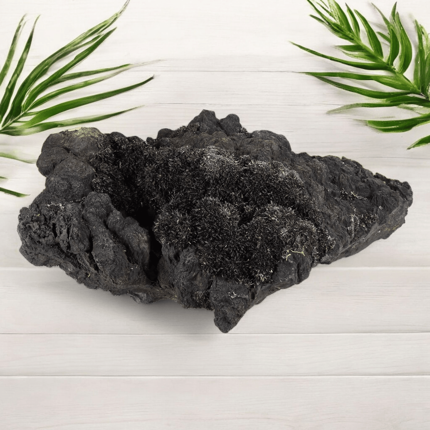 Franckeite with Zinkenite Mineral Specimen from Morocco - Rare Find #1 on wood with plants in the background