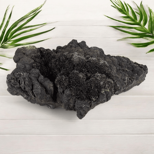 Franckeite with Zinkenite Mineral Specimen from Morocco - Rare Find #1 on wood with plants in the background