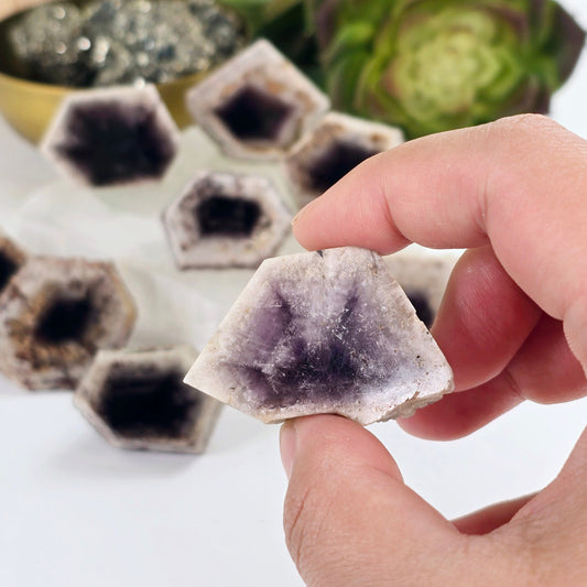 Trapiche Amethyst Crystal - Rare Find - You Choose #1 variant 10 in hand for size reference with other variants in the background with props and plants