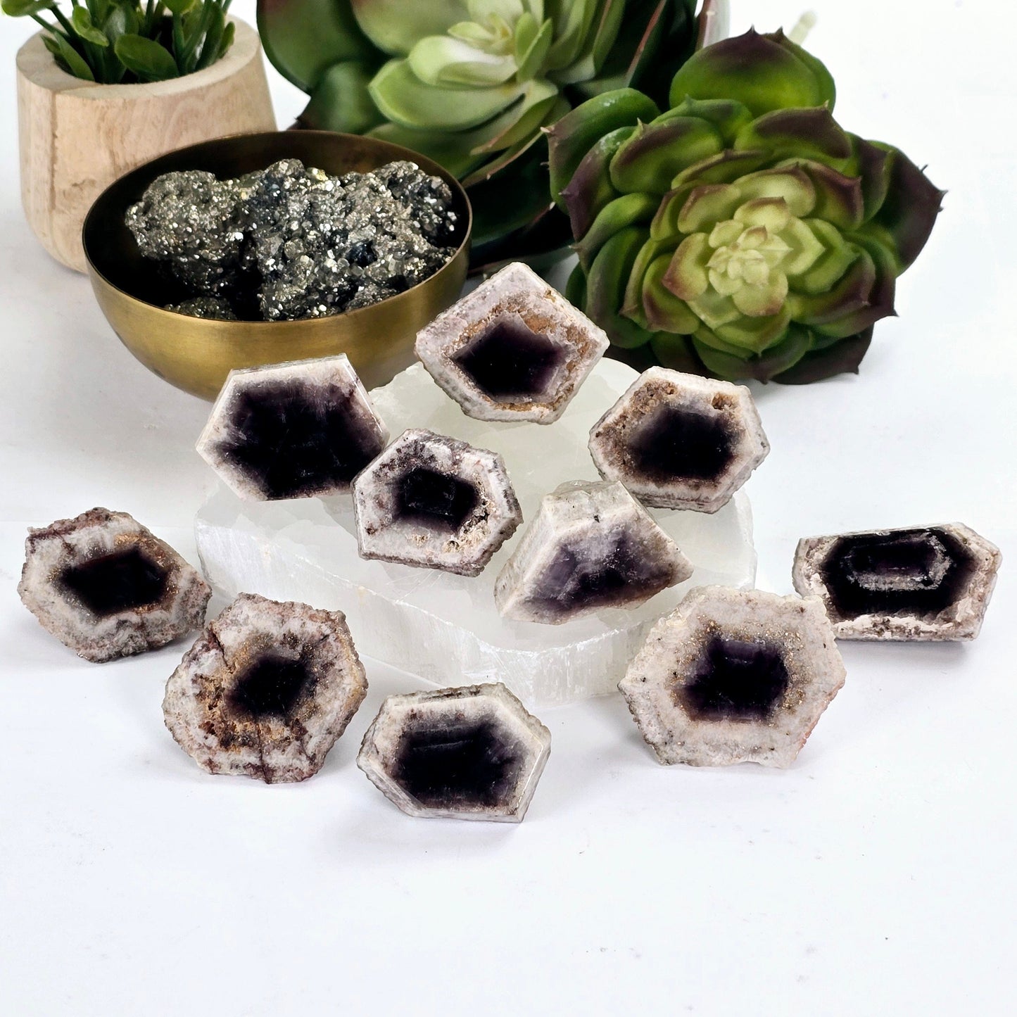 Trapiche Amethyst Crystal - Rare Find - You Choose #1 all variants with props and plants in the background