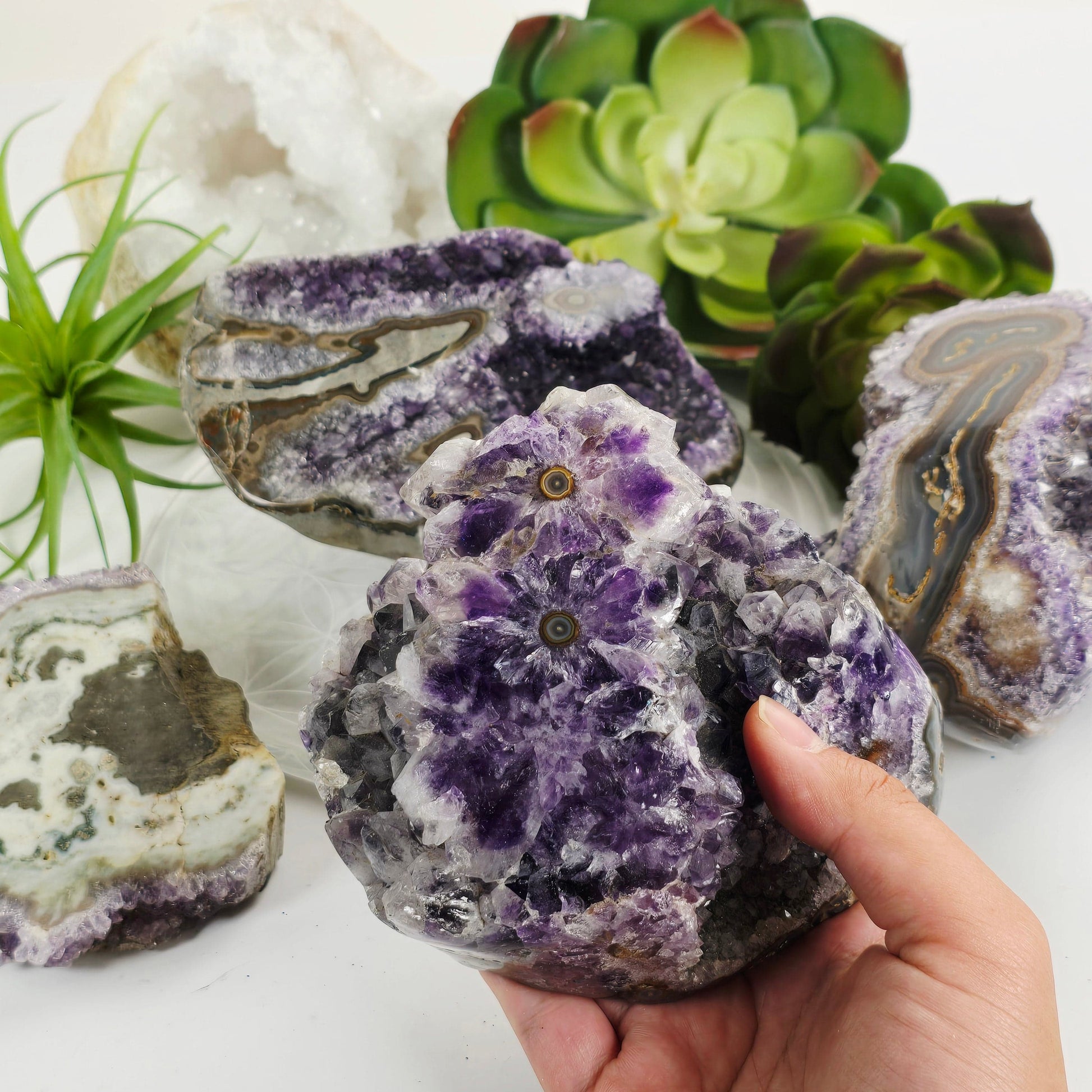 Amethyst Crystal Cluster with Stalactites Semi Polished Freeform - You Choose #2 variant 2 in hand for size reference with other variants in the background with props and plants