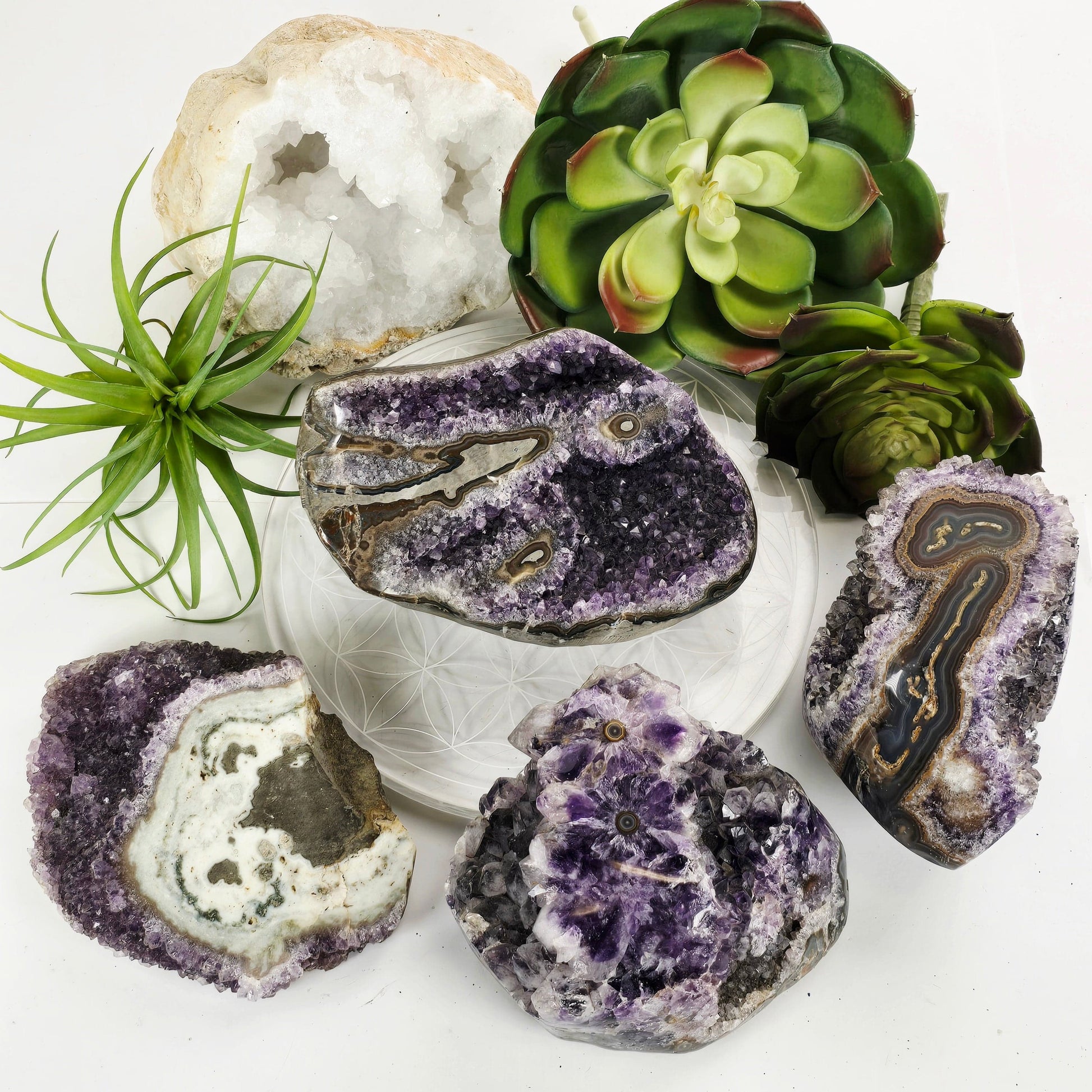 Amethyst Crystal Cluster with Stalactites Semi Polished Freeform - You Choose #2 all variants top view with props and plants