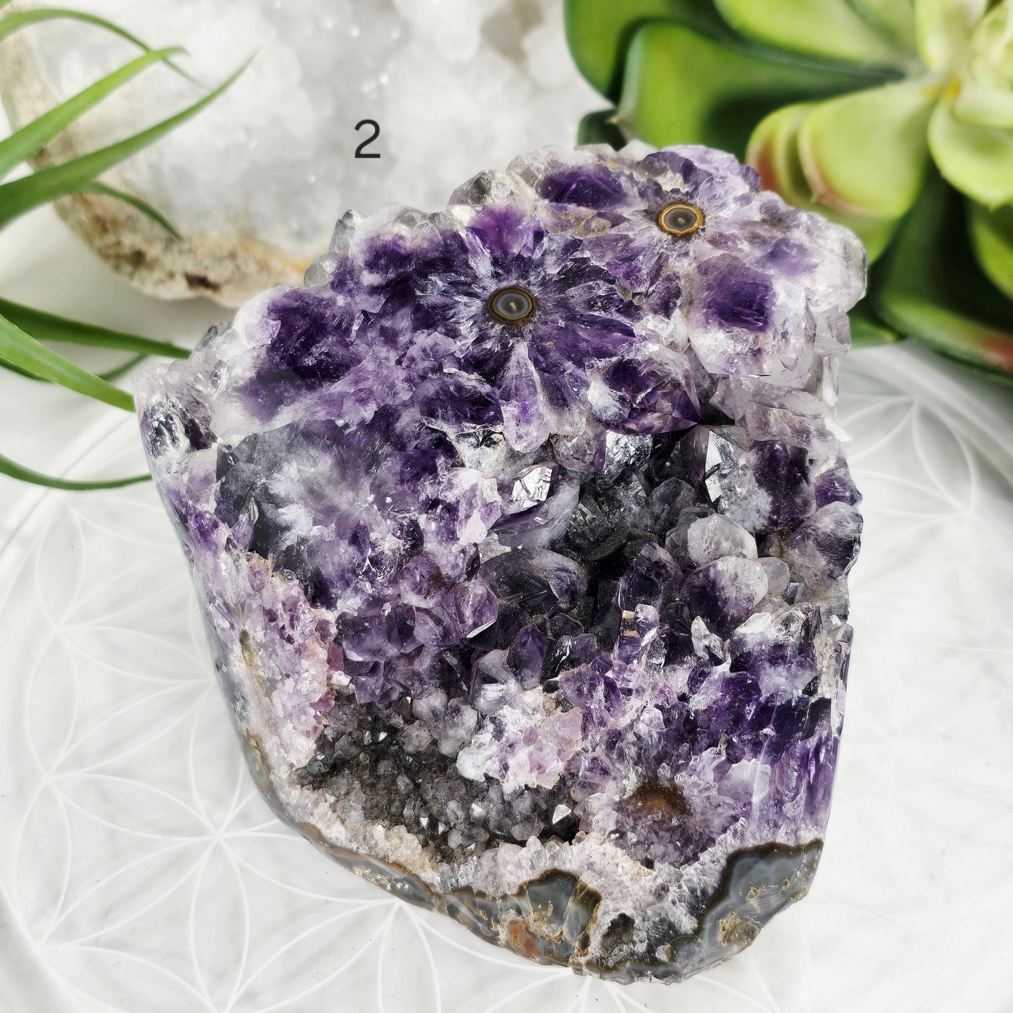 Amethyst Crystal Cluster with Stalactites Semi Polished Freeform - You Choose #2 variant 2 labeled