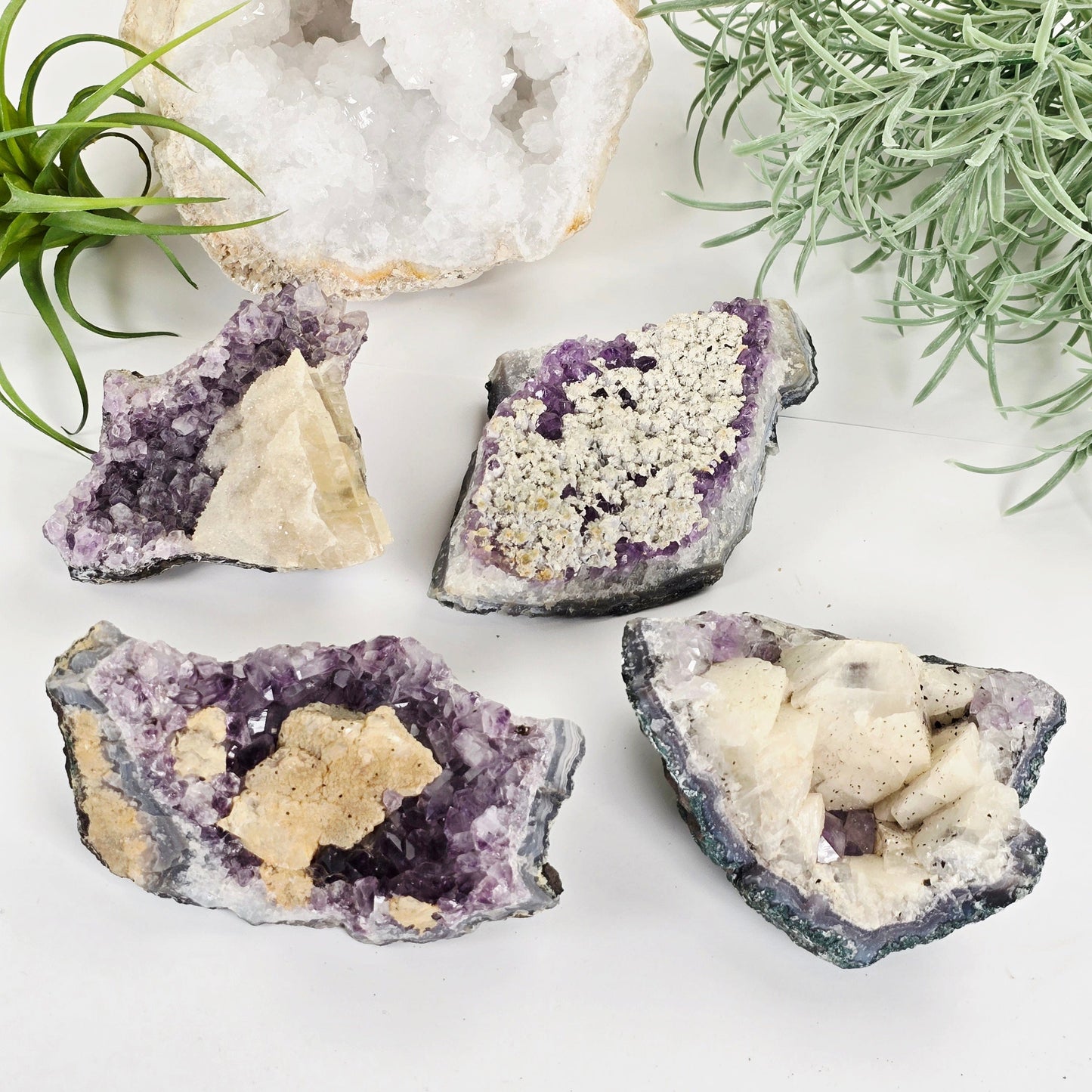 Amethyst with Calcite Crystal Cluster - You Choose #3 all four variants with props and plants in the background