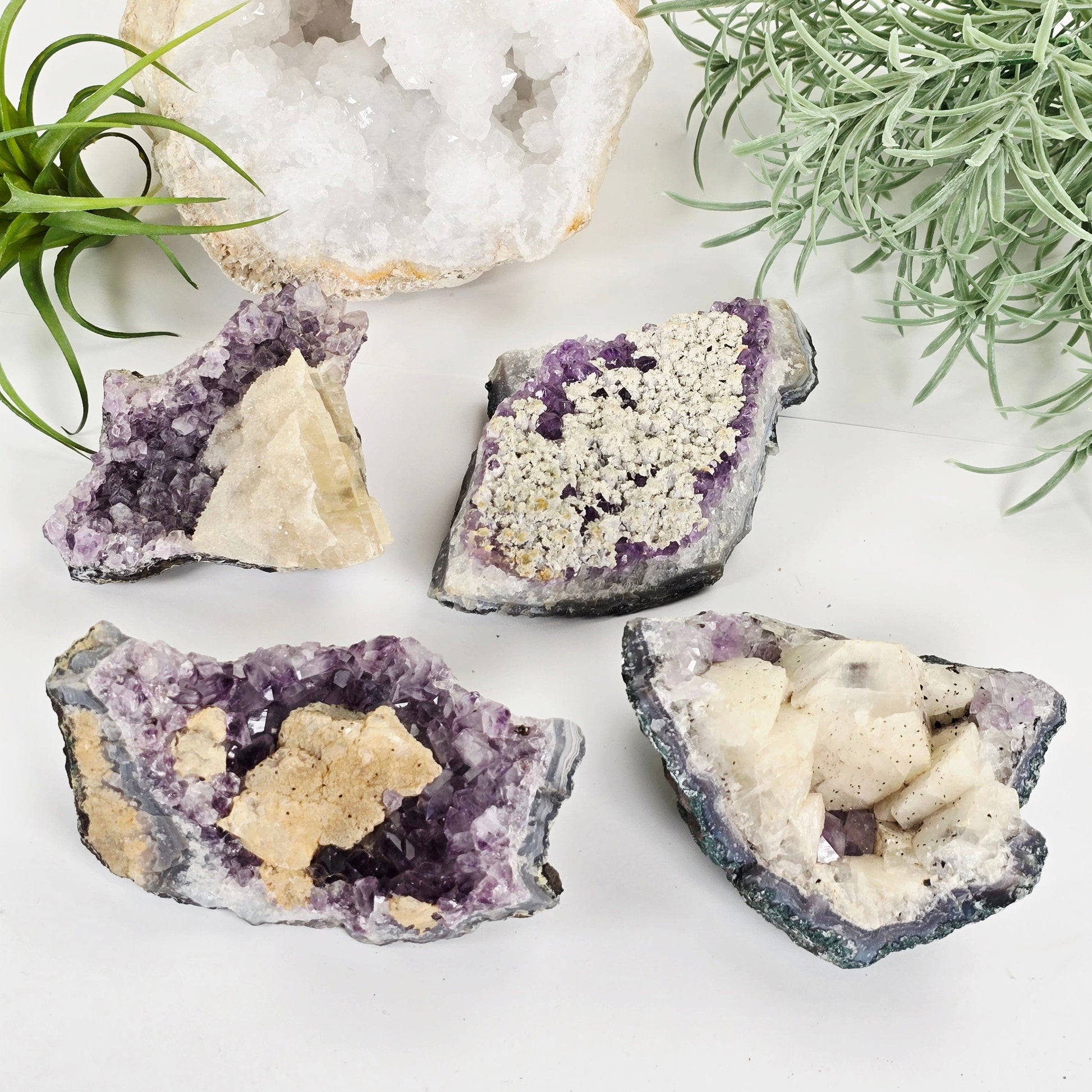 Amethyst with Calcite Crystal Cluster - You Choose #3 all four variants with props and plants in the background