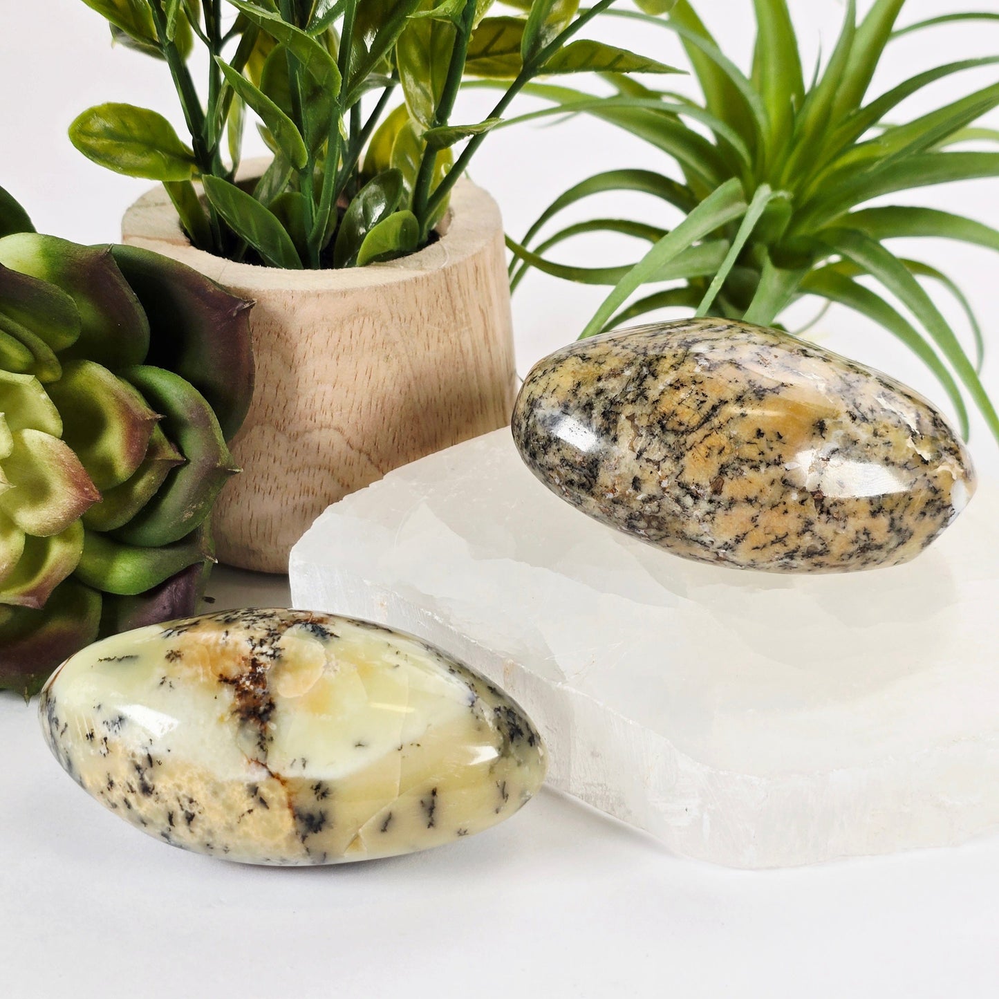 Dendritic Opal Crystal - Large Tumbled Stone - YOU CHOOSE both variants with props and plants