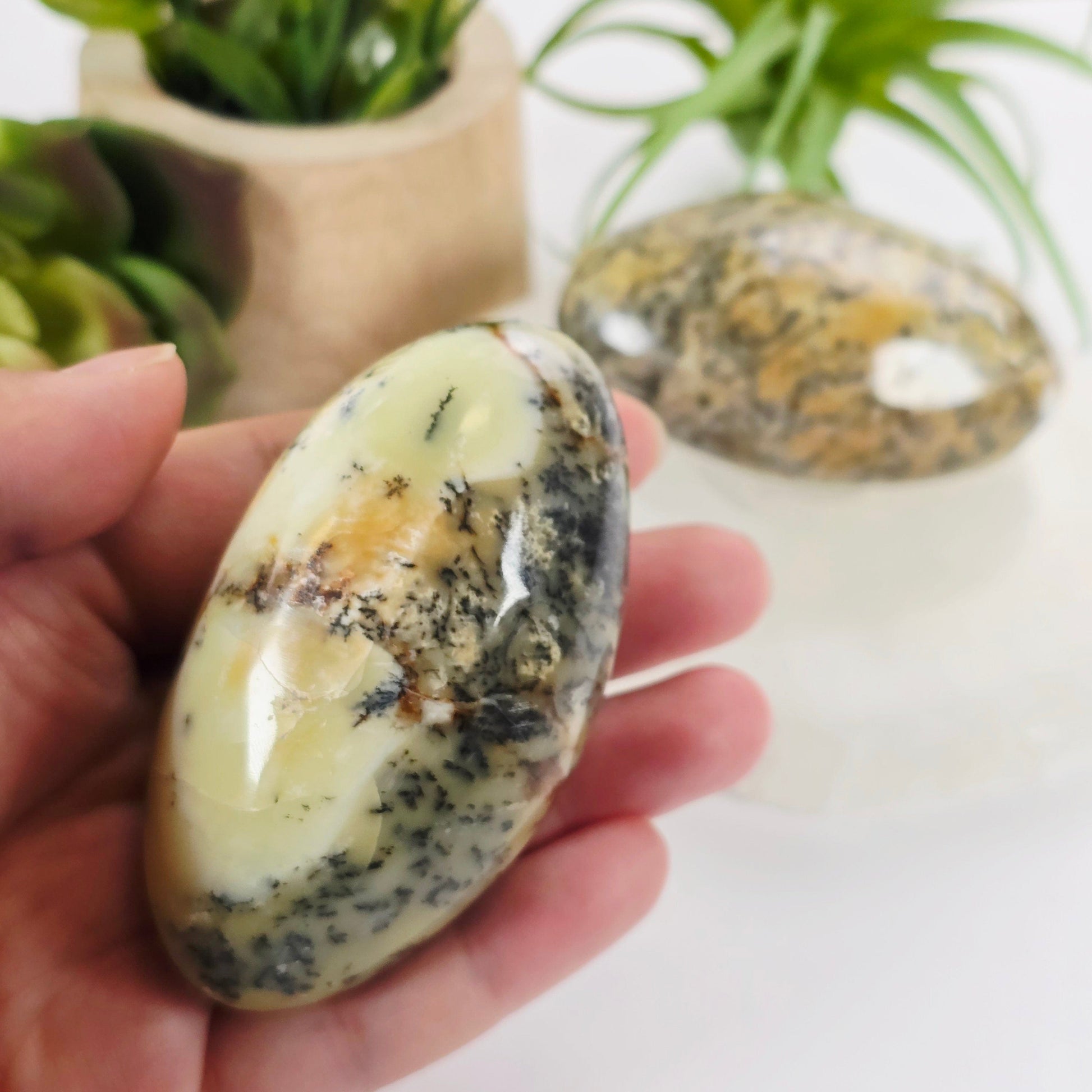 Dendritic Opal Crystal - Large Tumbled Stone - YOU CHOOSE variant 1 in hand for size reference with other variant in background with props and plants