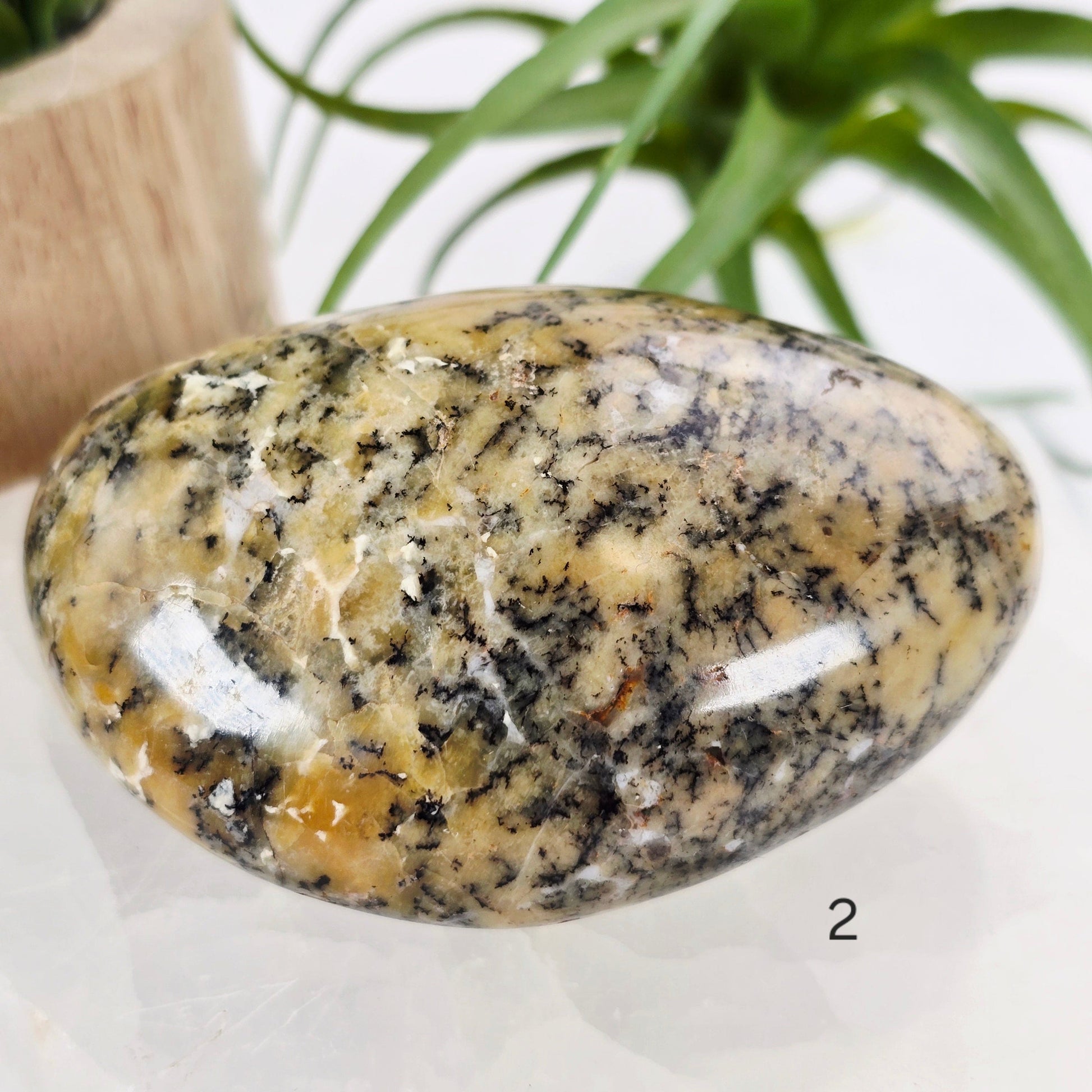 Dendritic Opal Crystal - Large Tumbled Stone - YOU CHOOSE variant 2 labeled