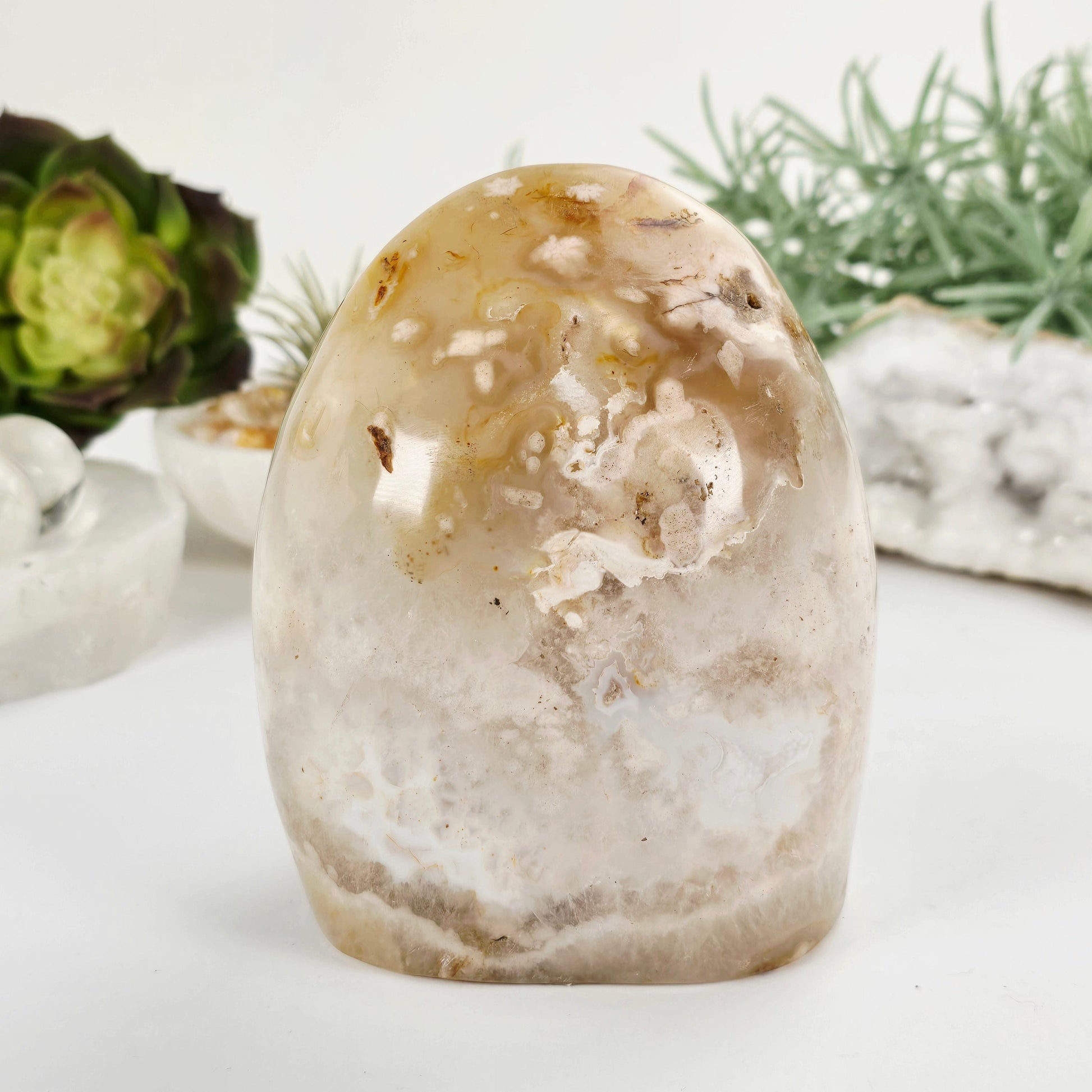 Flower Agate Crystal Cut Base - One-of-a-Kind front view with plants and props in the background