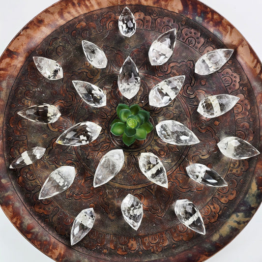 Crystal Quartz Faceted Double Terminated Points - Lot of 21 Crystals - As Is - You Get All arranged in circular pattern on metal platter with plant in the middle