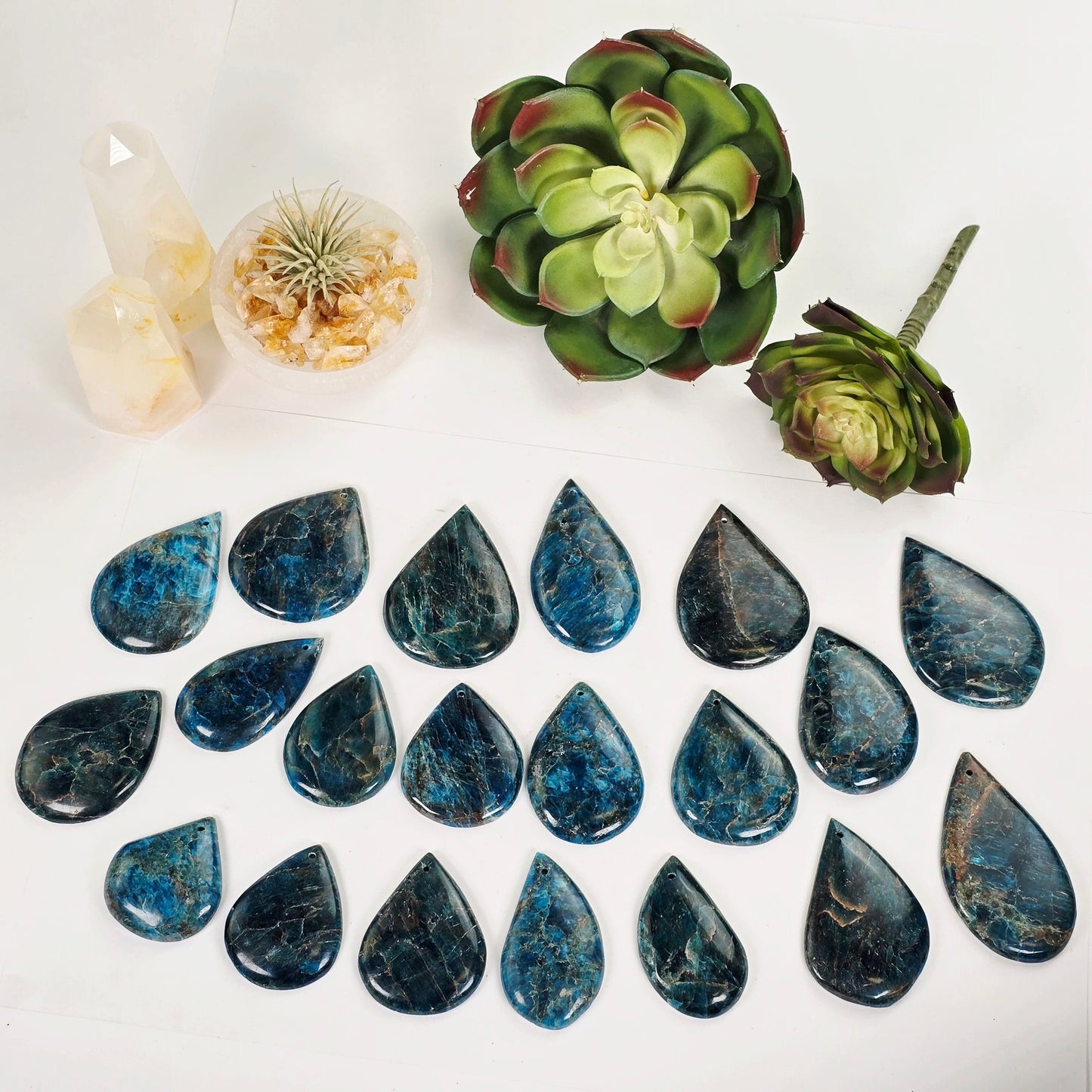 Apatite Polished Crystal Teardrop Pendant - You Choose all variants with props and plants in the background