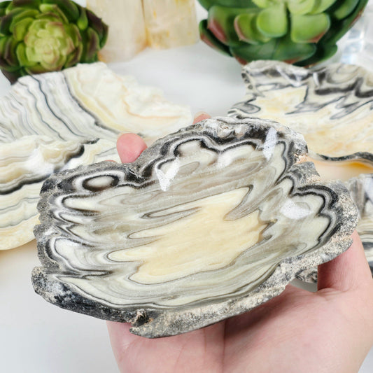 Mexican Onyx Small Bowl - Crystal Dish - You Choose variant 4 in hand for size reference with other variants in the background with props and plants