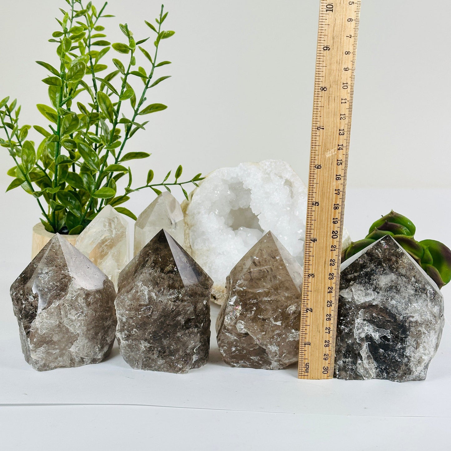 Smoky Quartz Crystal Point - Semi Polished - You Choose #1 all variants with ruler for size reference