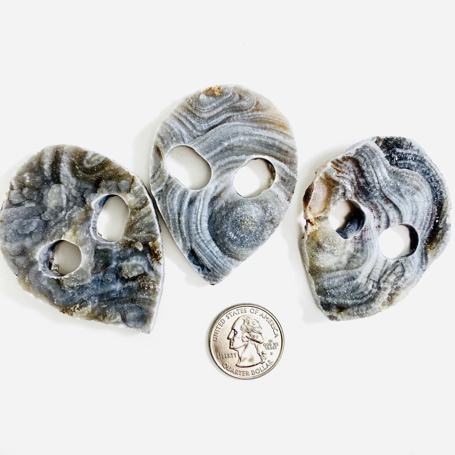 large alien heads next to a quarter for size reference 