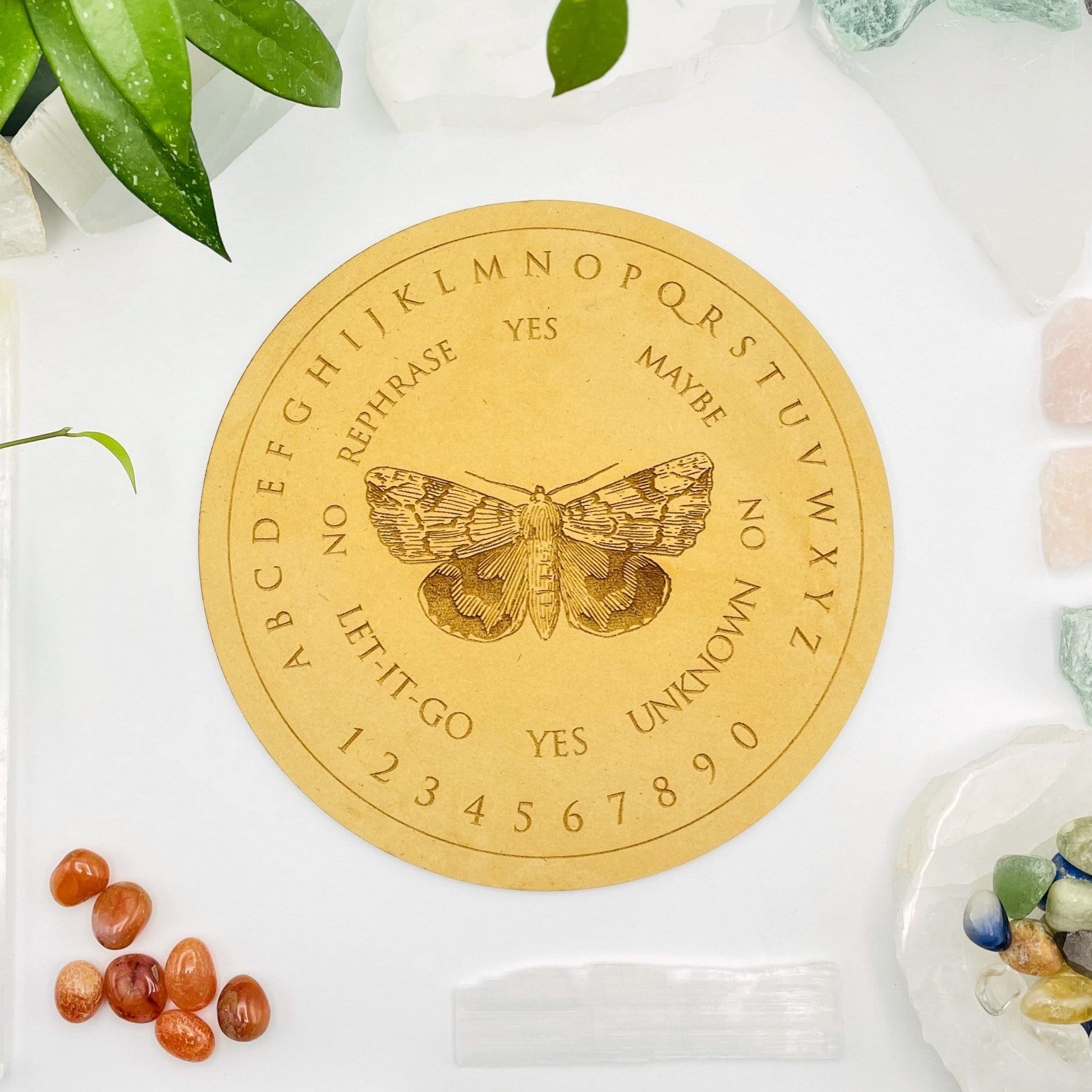 close up of moth round board