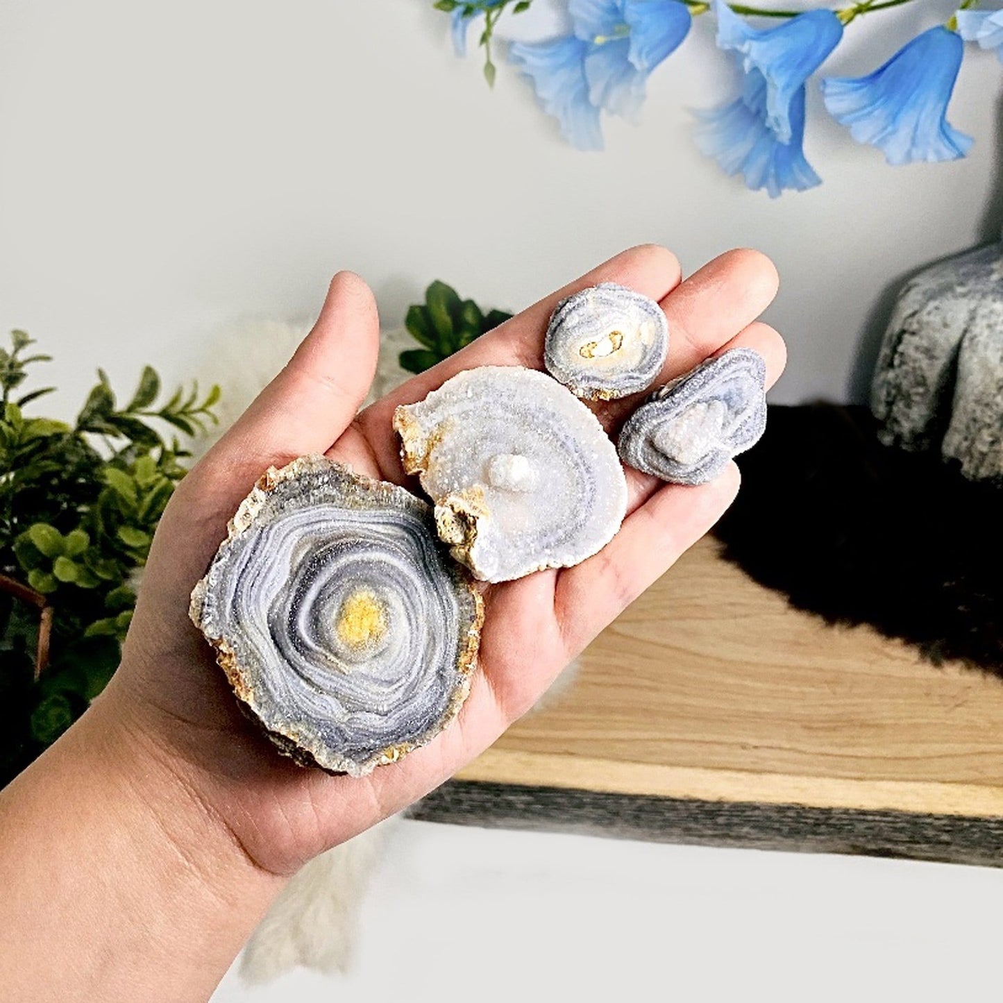 large medium small Chalcedony Druzy Slabs in hand for size reference