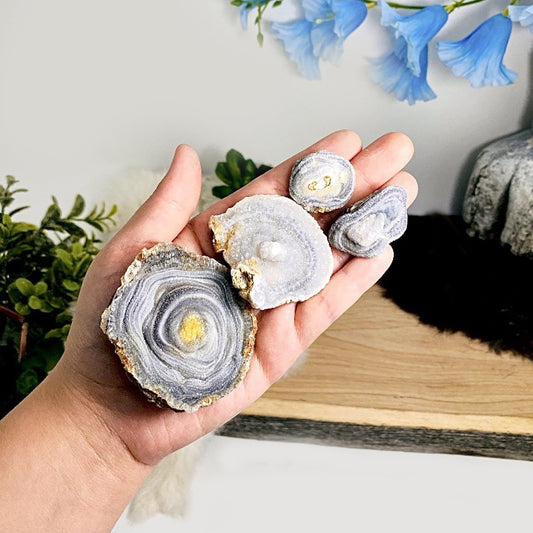 large medium small Chalcedony Druzy Slabs in hand for size reference