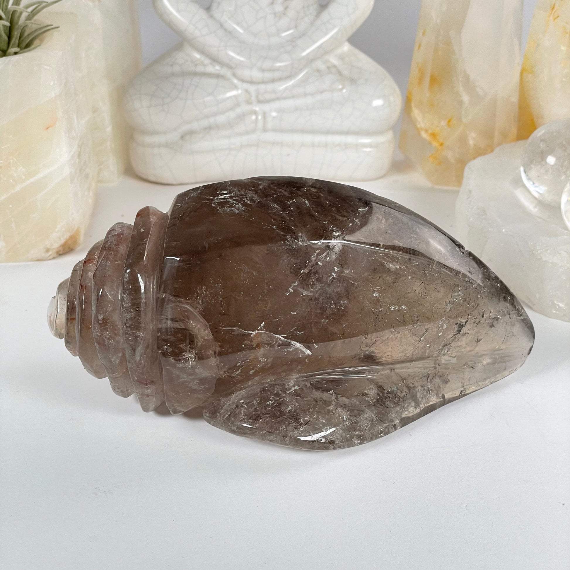Rutilated Smoky Quartz Crystal Conch Shell - One-of-a-Kind side front view