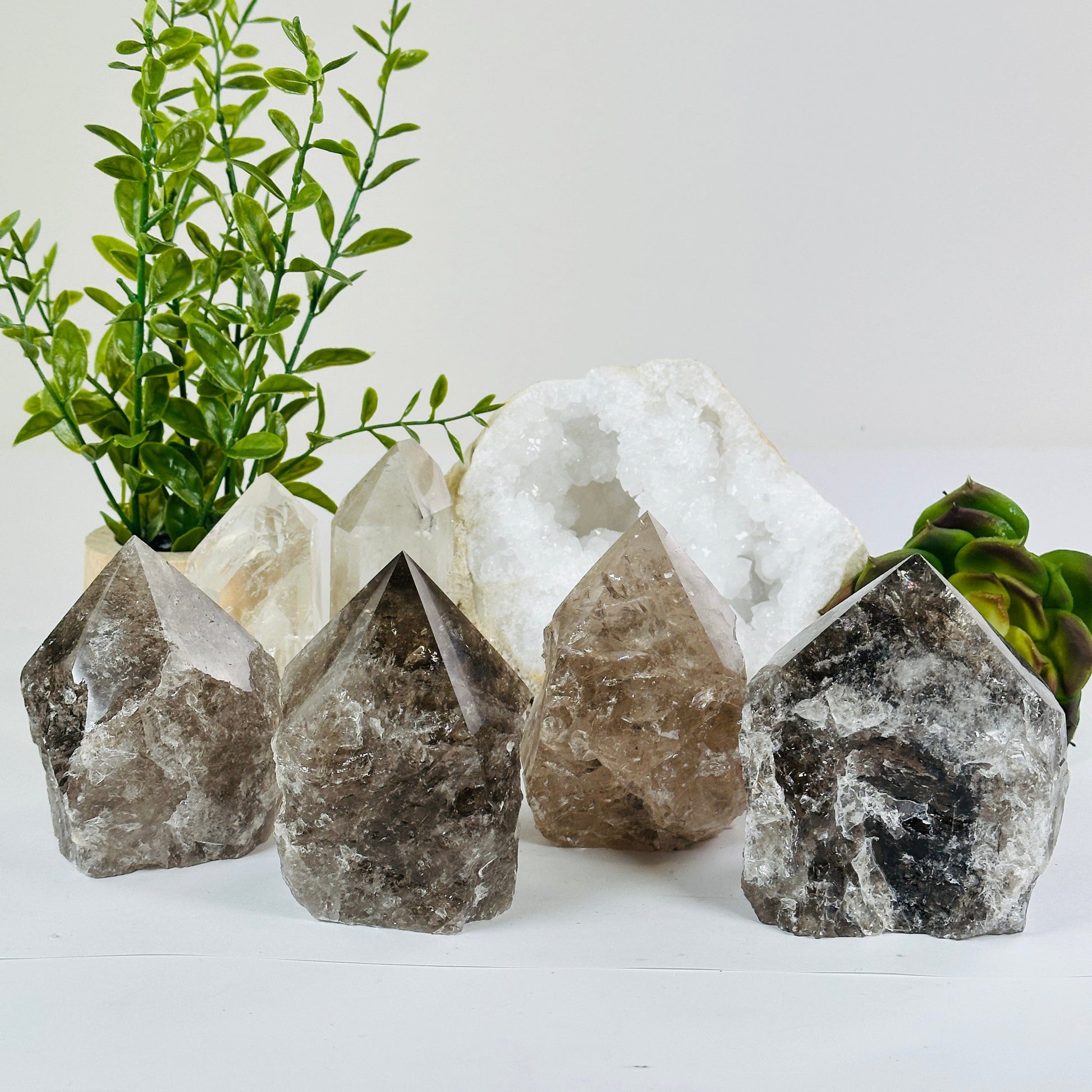 Smoky Quartz Crystal Point - Semi Polished - You Choose #1 all variants with props and plants in the background