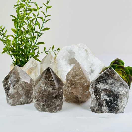 Smoky Quartz Crystal Point - Semi Polished - You Choose #1 all variants with props and plants in the background