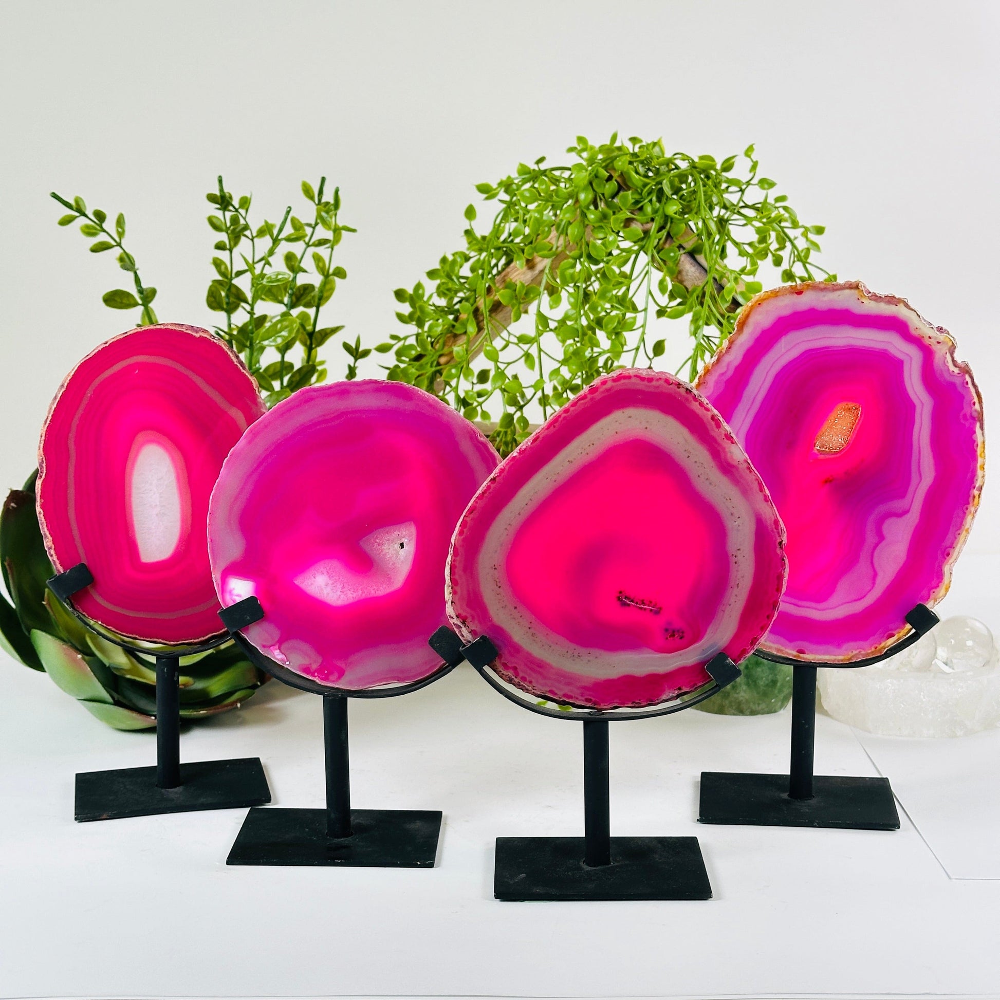 Pink Agate Crystal Slice on Stand - You Choose all variants with plants and props in the background