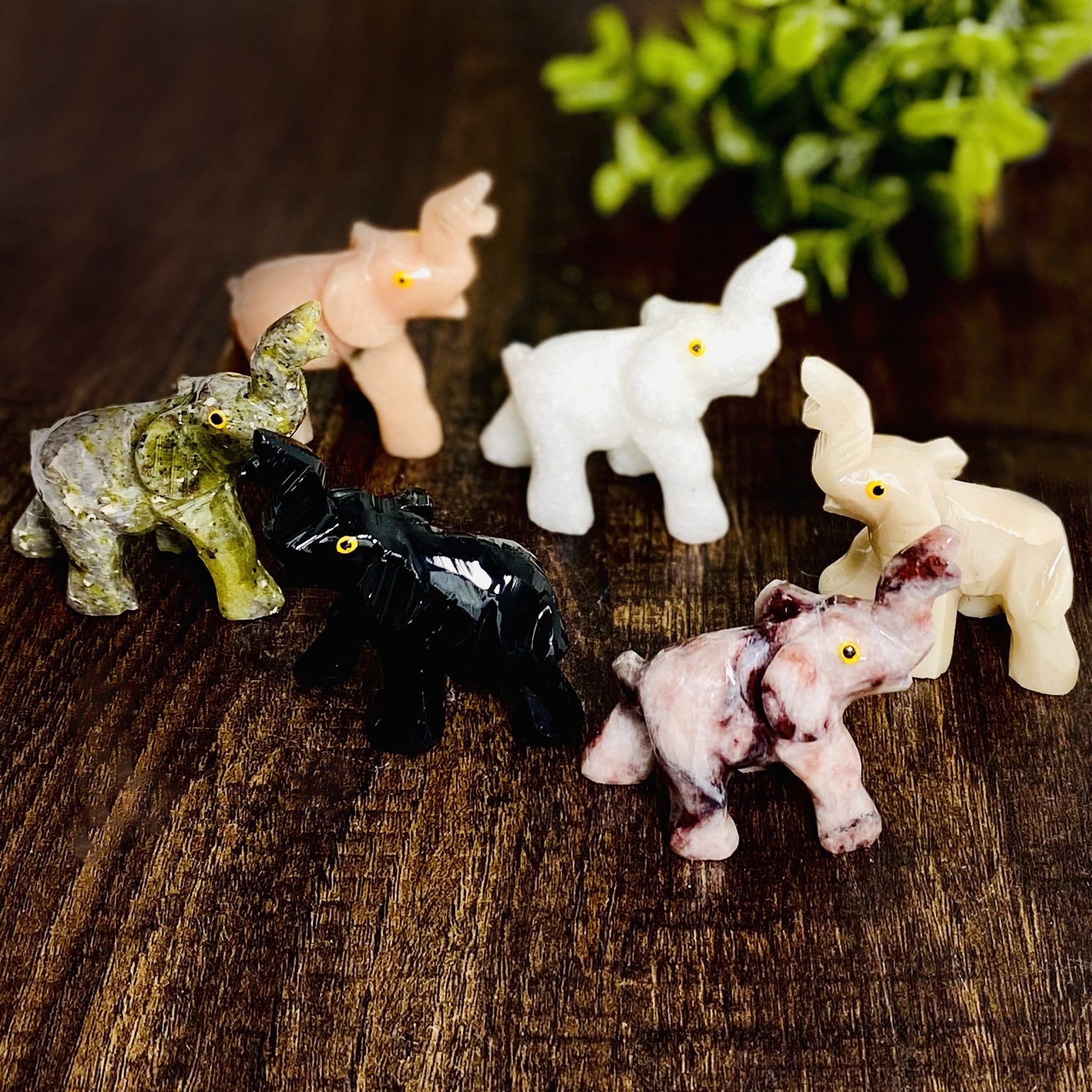 Elephant Shaped Mini Statues displayed next to each other showing different stones