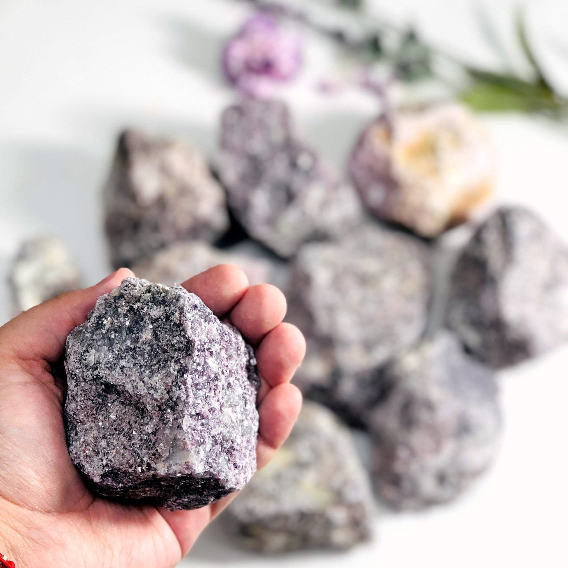 Lepidolite Stone in palm to show different color and texture