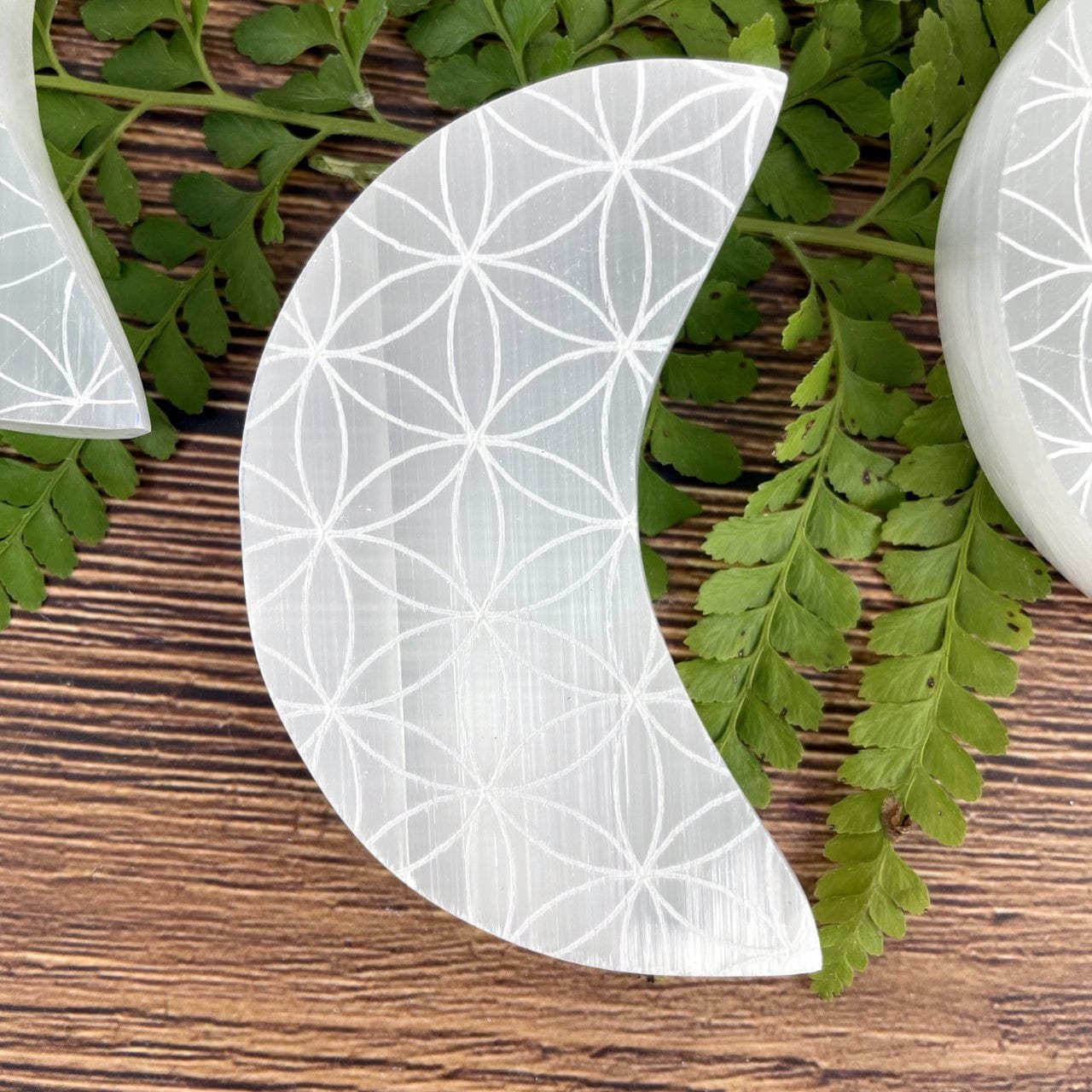 close up of flower of life moon grid