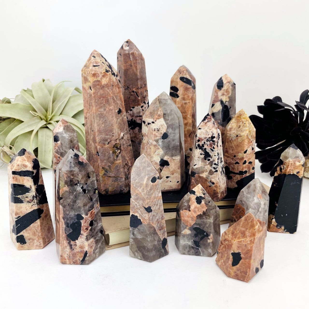 Black Tourmaline with Feldspar Polished Points displayed on white background