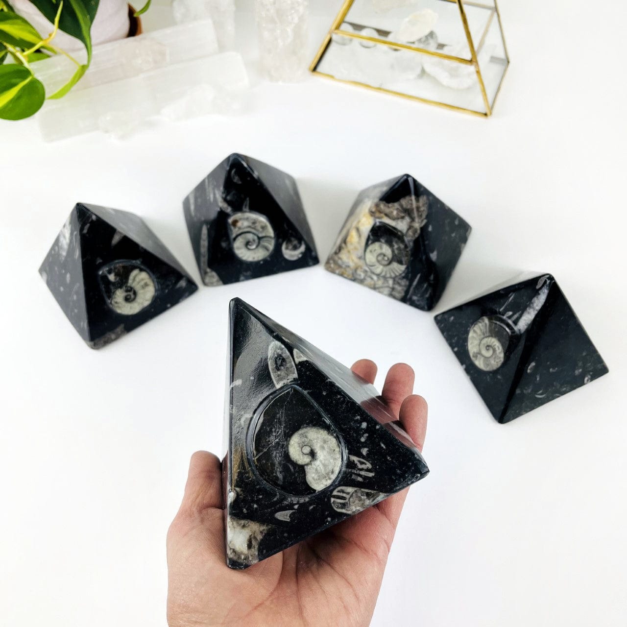 5 Ammonite and Orthoceras Fossil Pyramids with 1 in a hand for size
