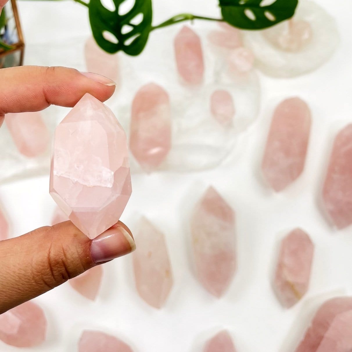 Hand holding up Rose Quartz Double Terminated Point with others blurred in the background