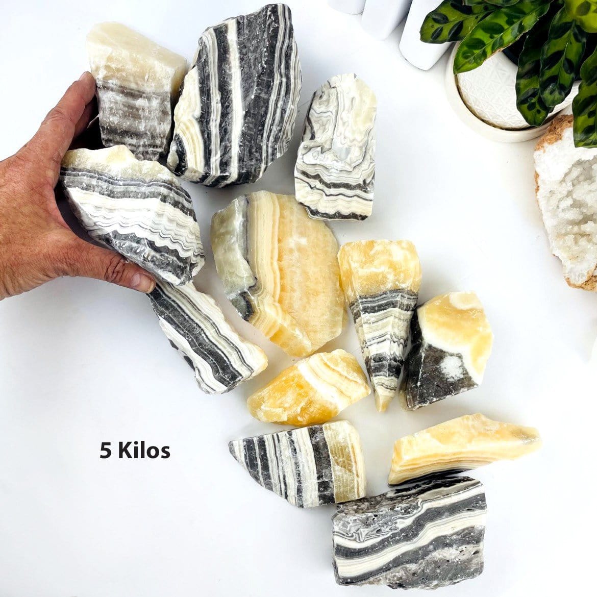 5 kilos worth of Mexican onyx laid out on a table as display, hand holding up one of the stones.