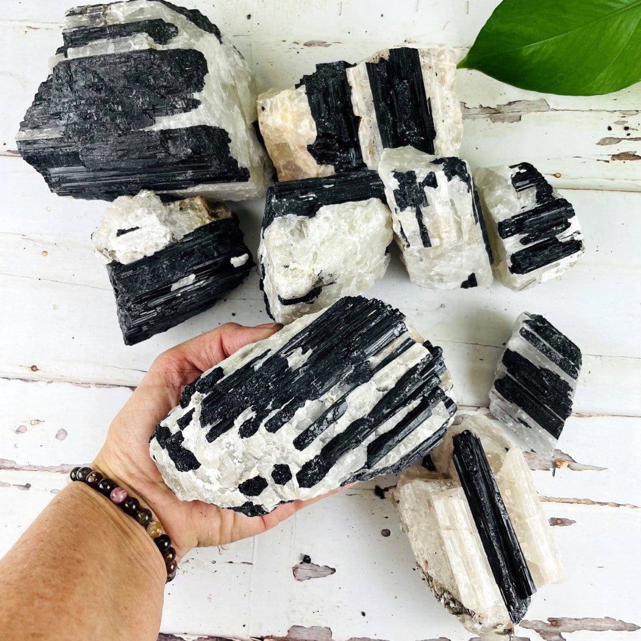 large tourmaline on matrix in hand for size reference