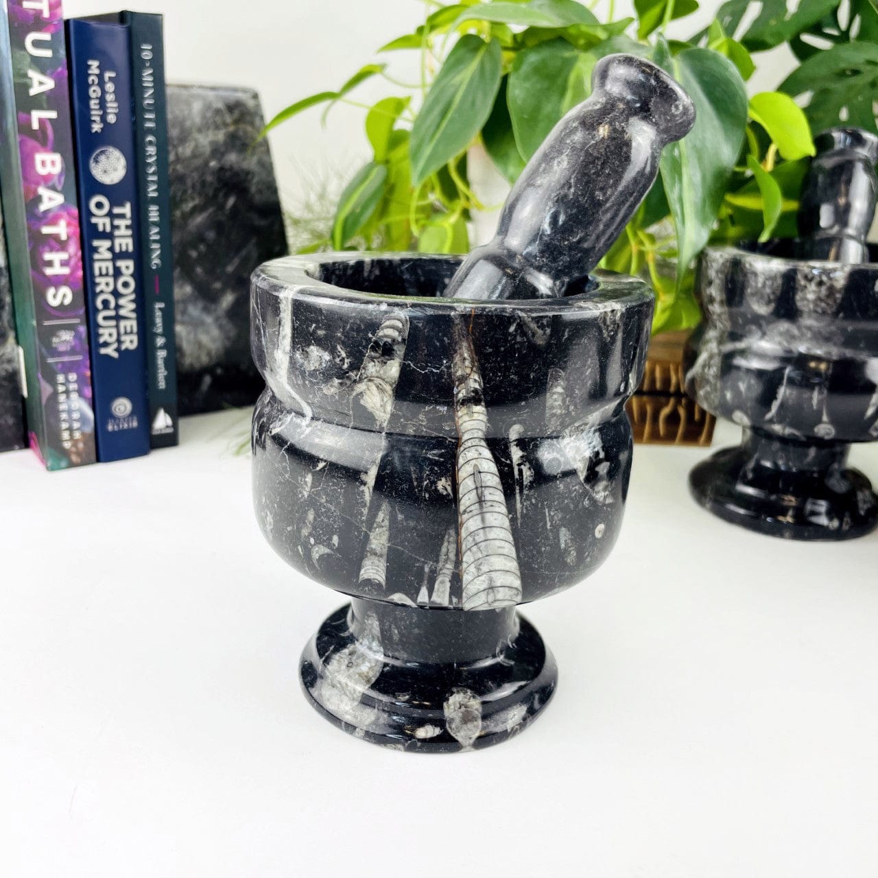 a close up of a Orthoceras Fossil Mortar and Pestle