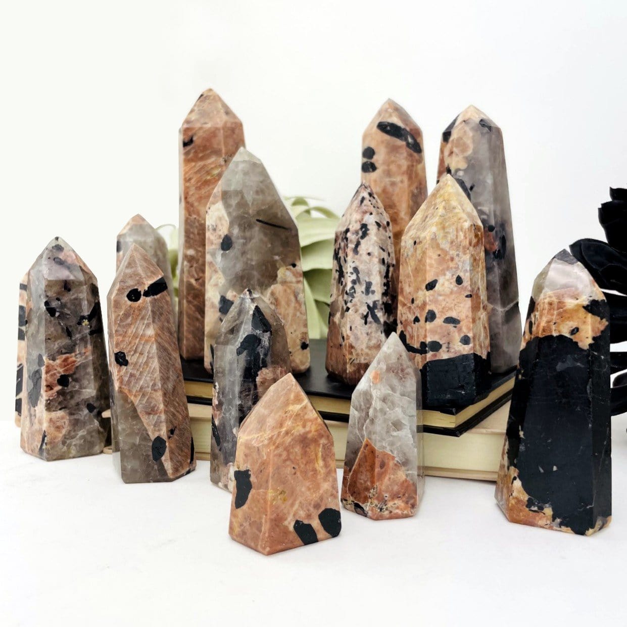 Black Tourmaline with Feldspar Polished Points displayed to show characteristic and color variations