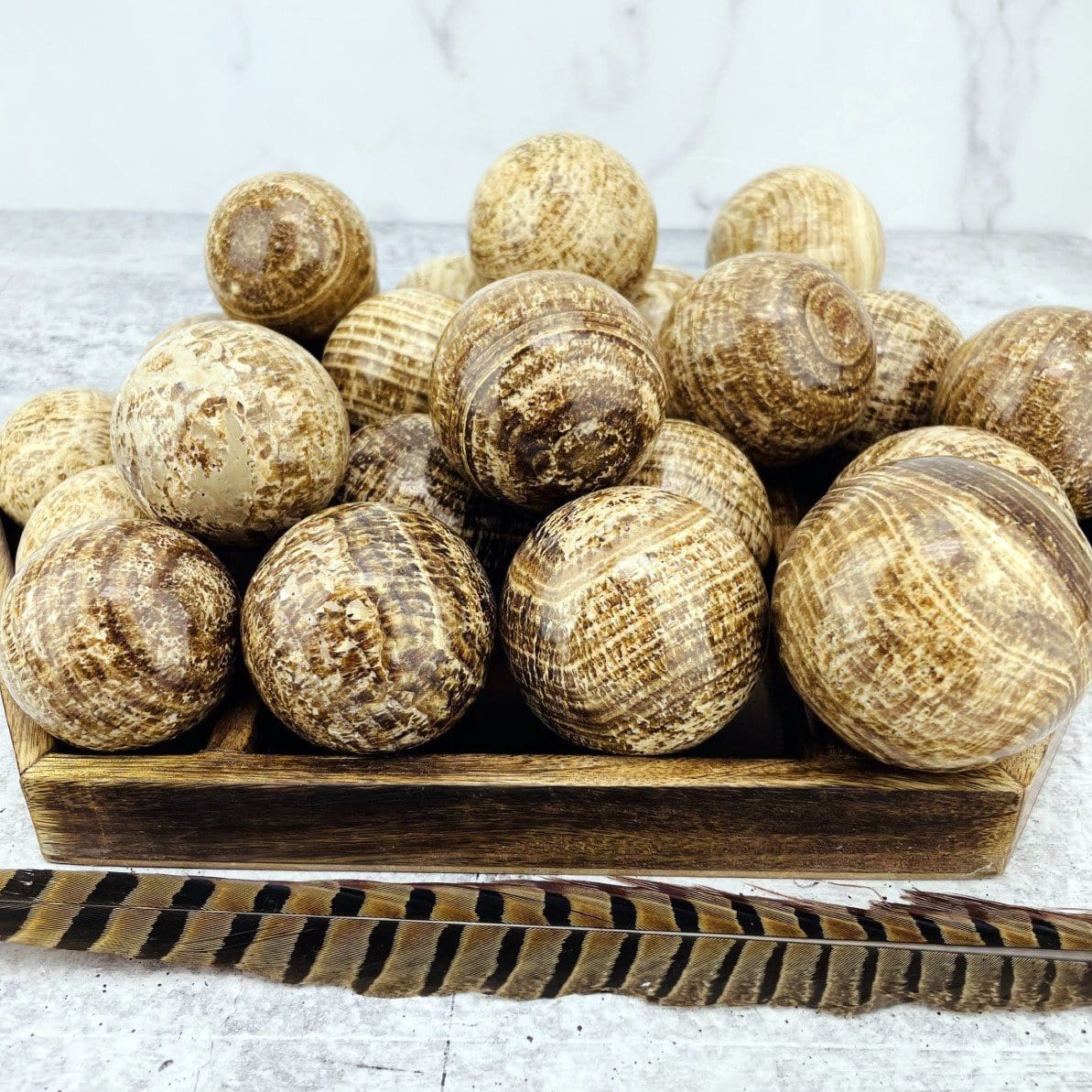 up close of the aragonite spheres to show various sizes and characteristics