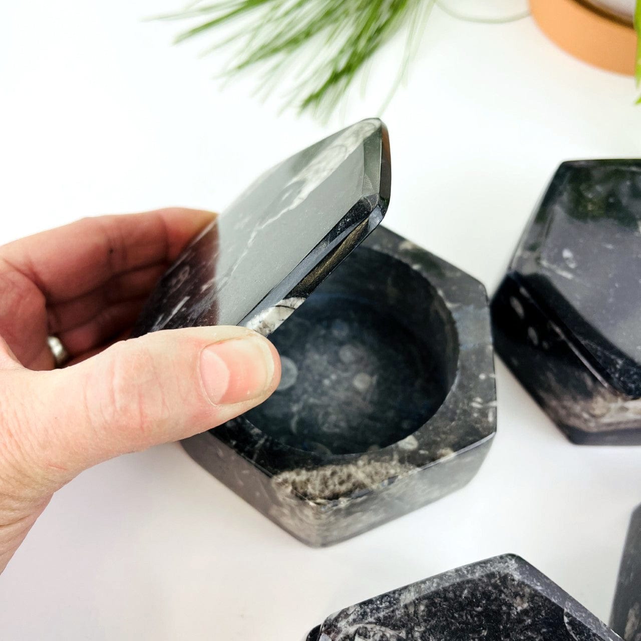 Orthoceras Hexagon Box with a hand opening the lid 