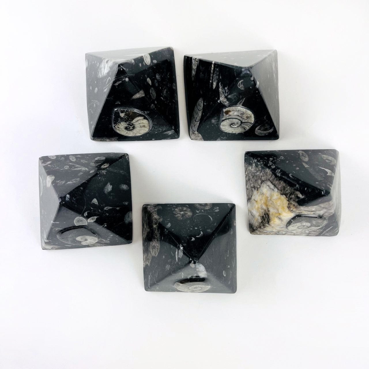5 Ammonite and Orthoceras Fossil Pyramids from  overhead looking down