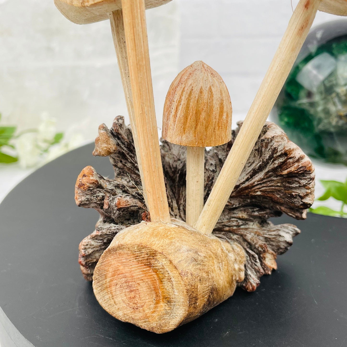 close up of the wood formation 