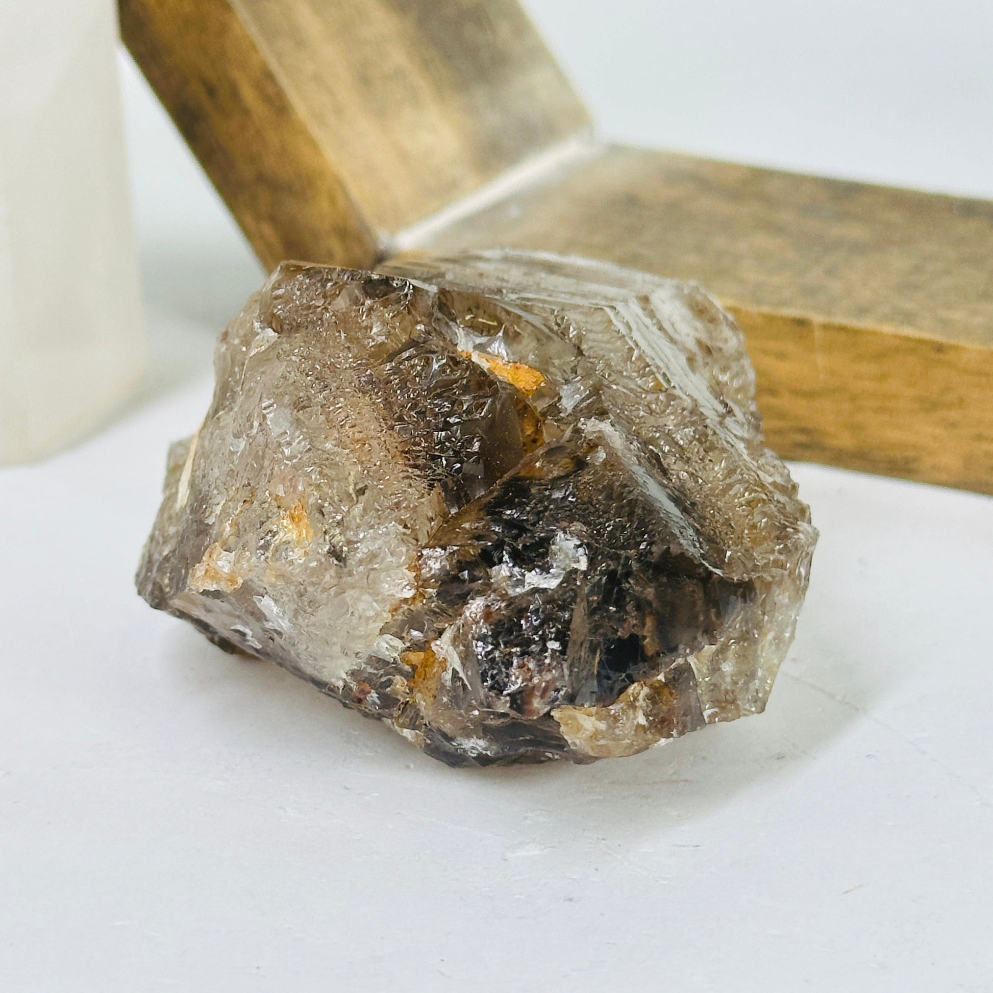alligator smokey quartz with decorations in the background