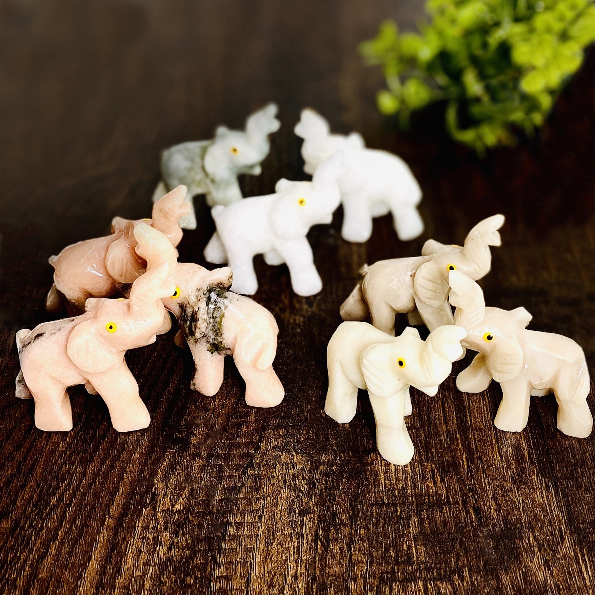 Elephant Shaped Mini Statues displayed next to each other showing different stones