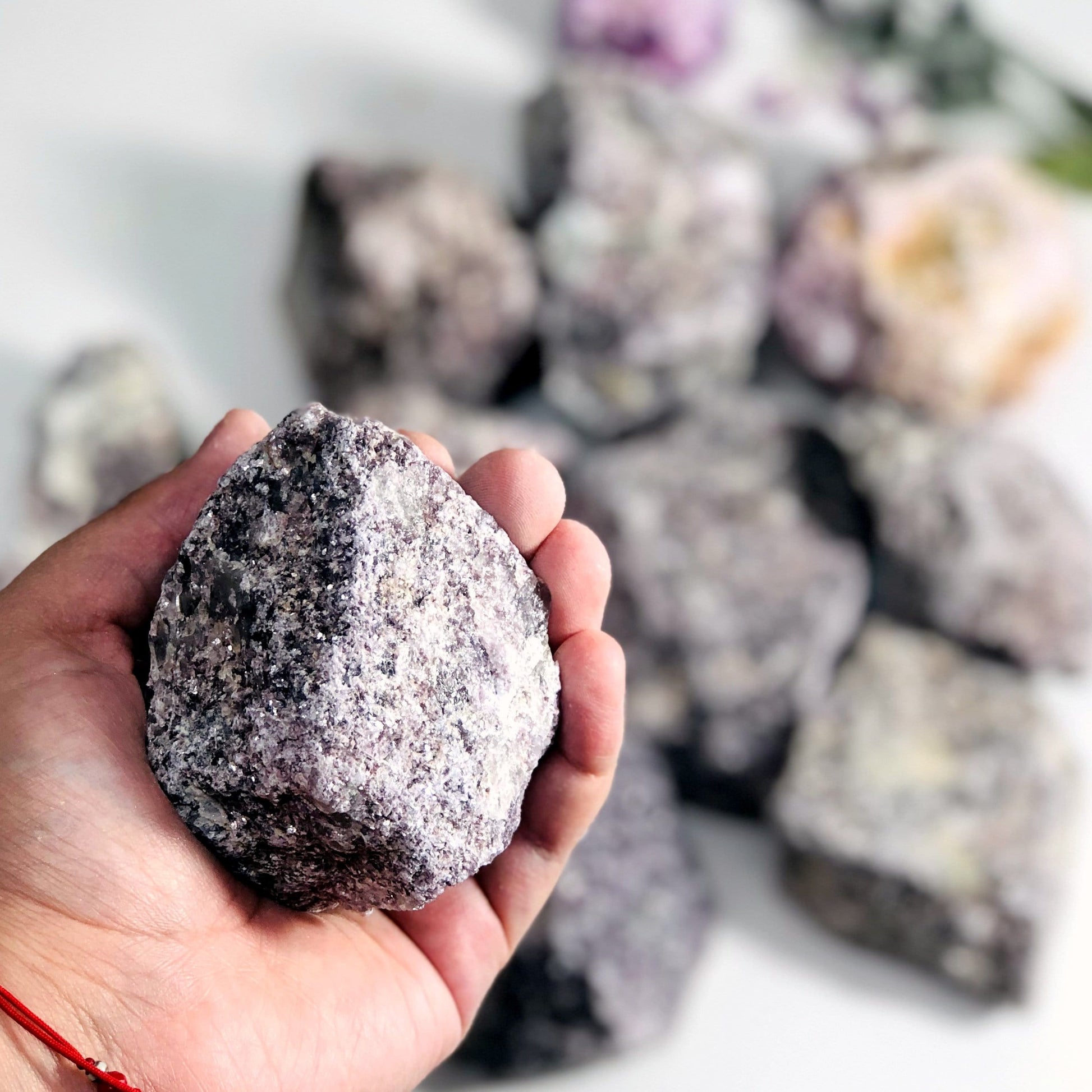 Lepidolite Rough Stone in palm for size reference