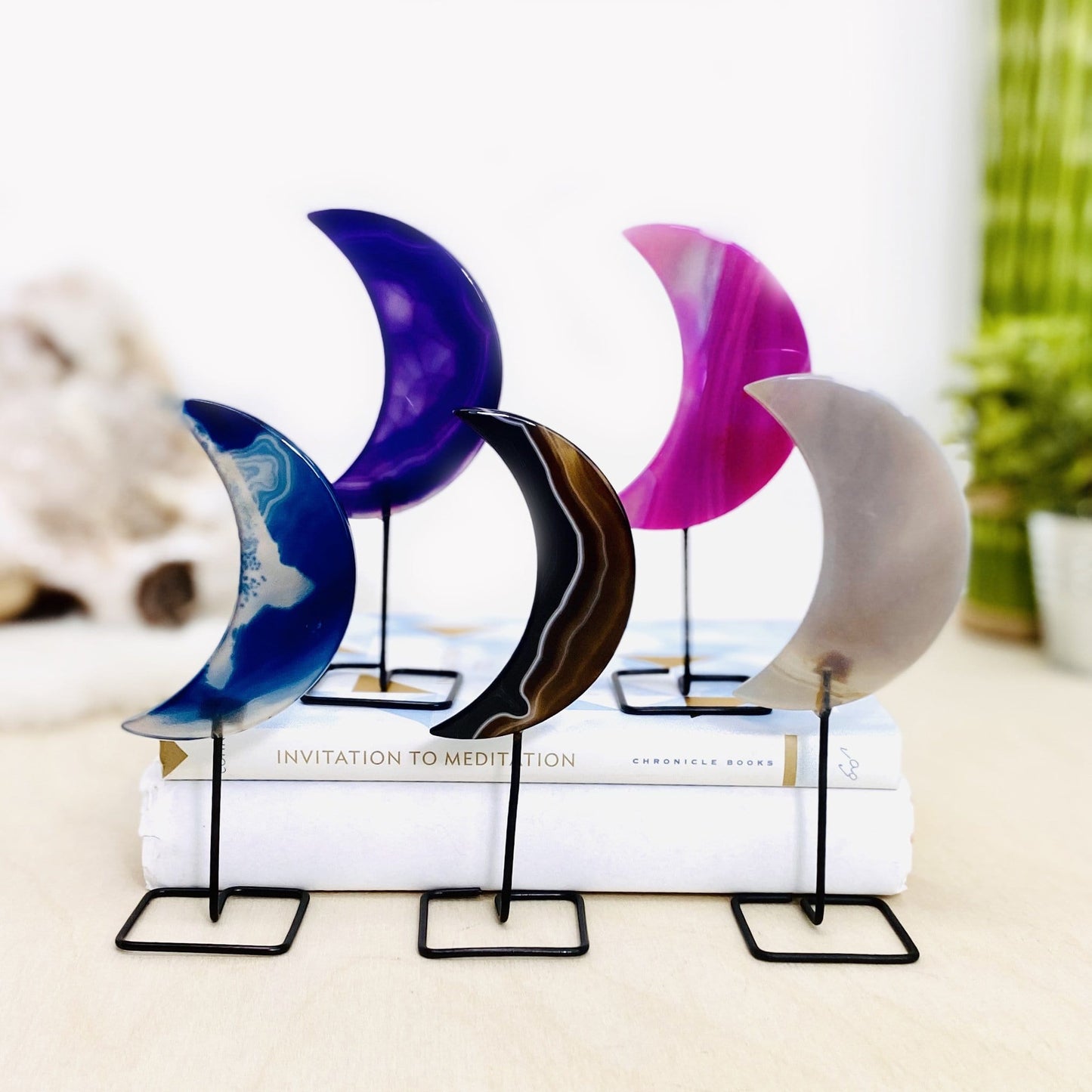 Pictures of all the different moon colors we have available .