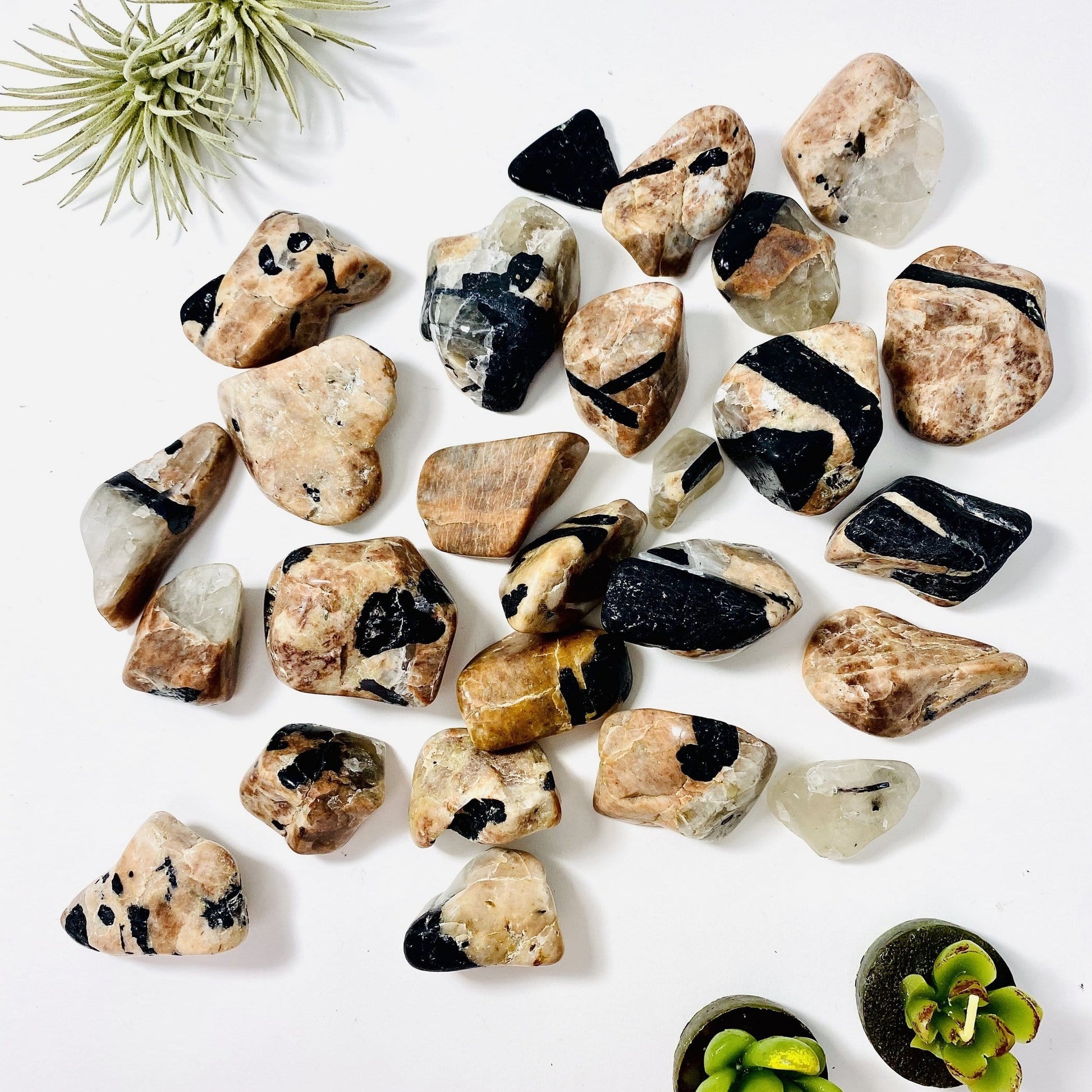 1/2 lb Black Tourmaline on Matrix Tumbled Stones on a white background