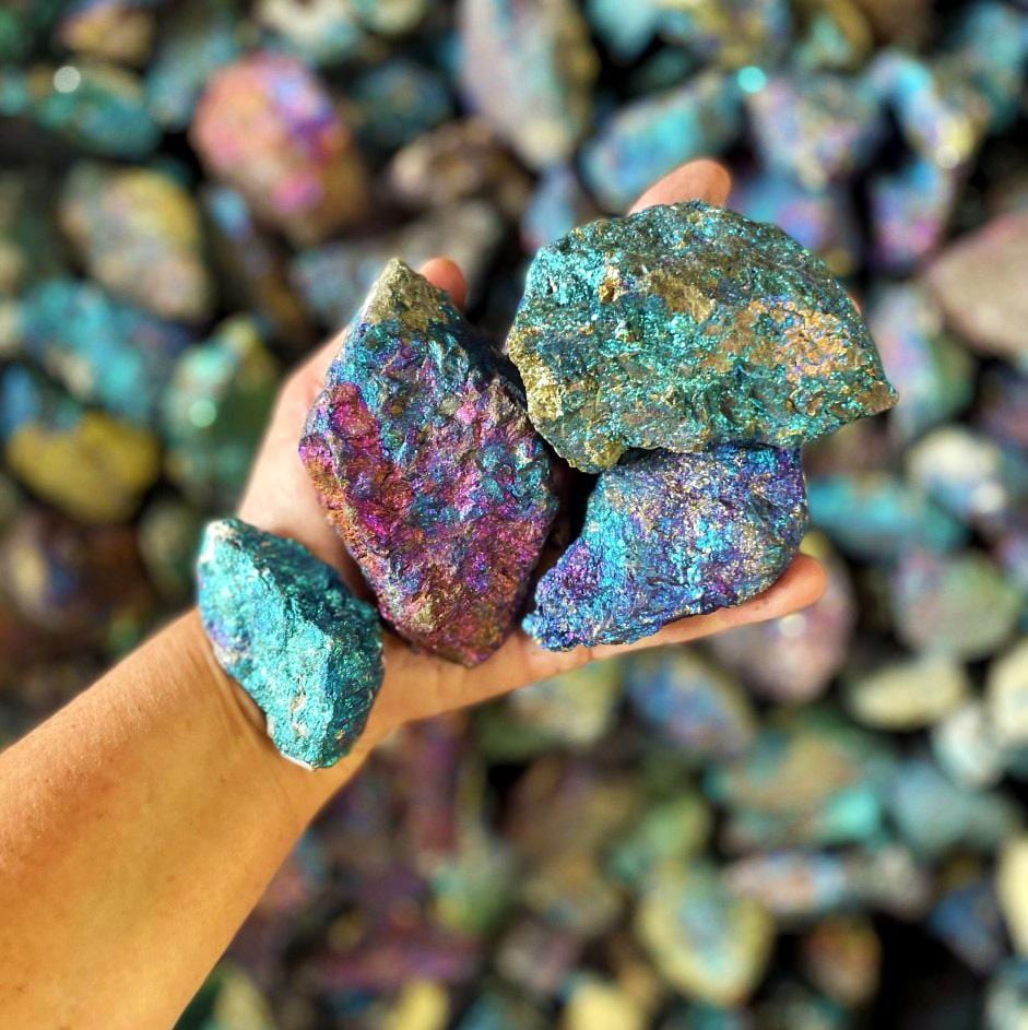 4 peacock ore pieces held in a woman's hand with more in the background.  They are a metallic shade of blues, purples and pinks.
